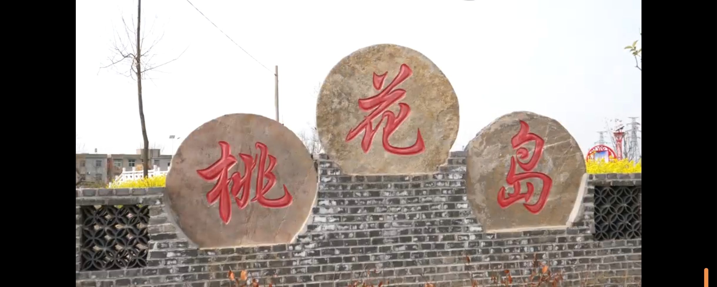 灵璧县禅堂镇河北村桃花岛旅行图片 1