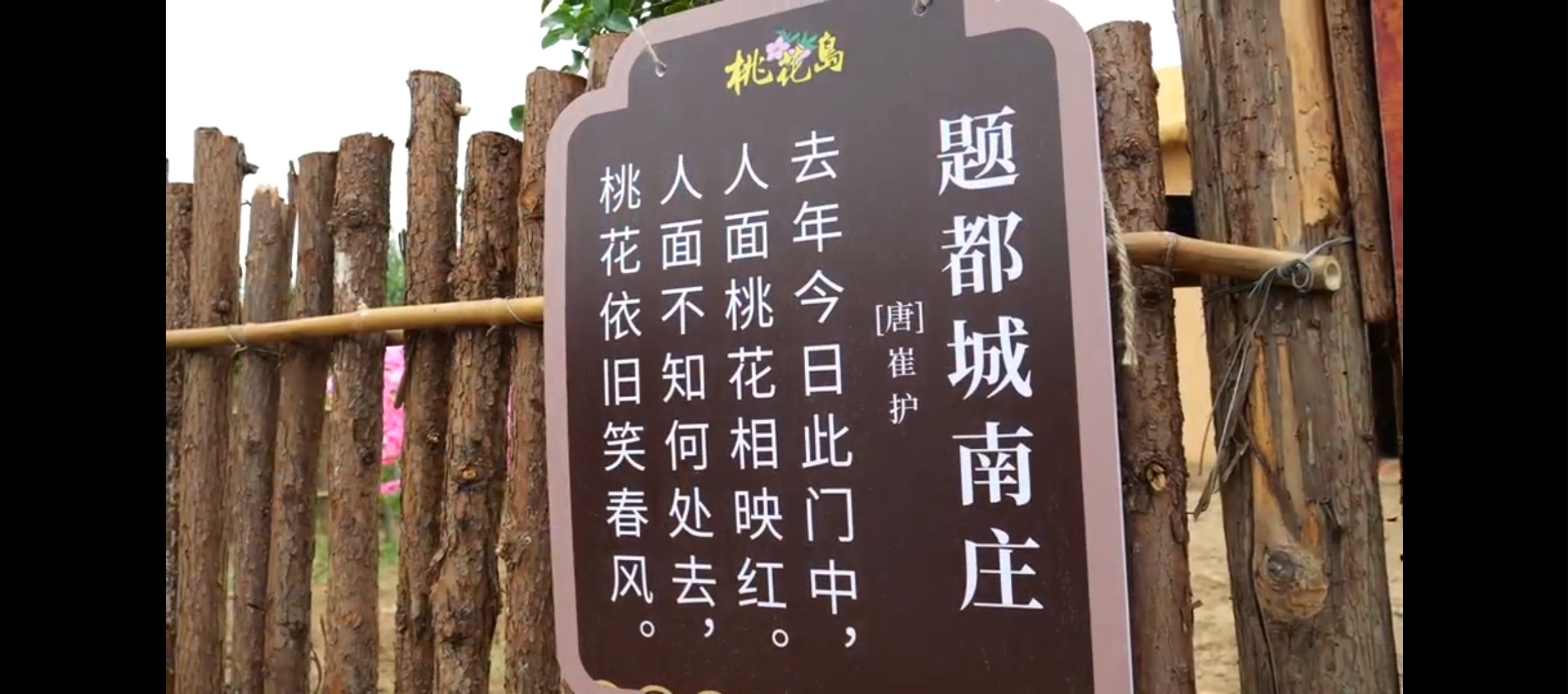 灵璧县禅堂镇河北村桃花岛旅行图片 3