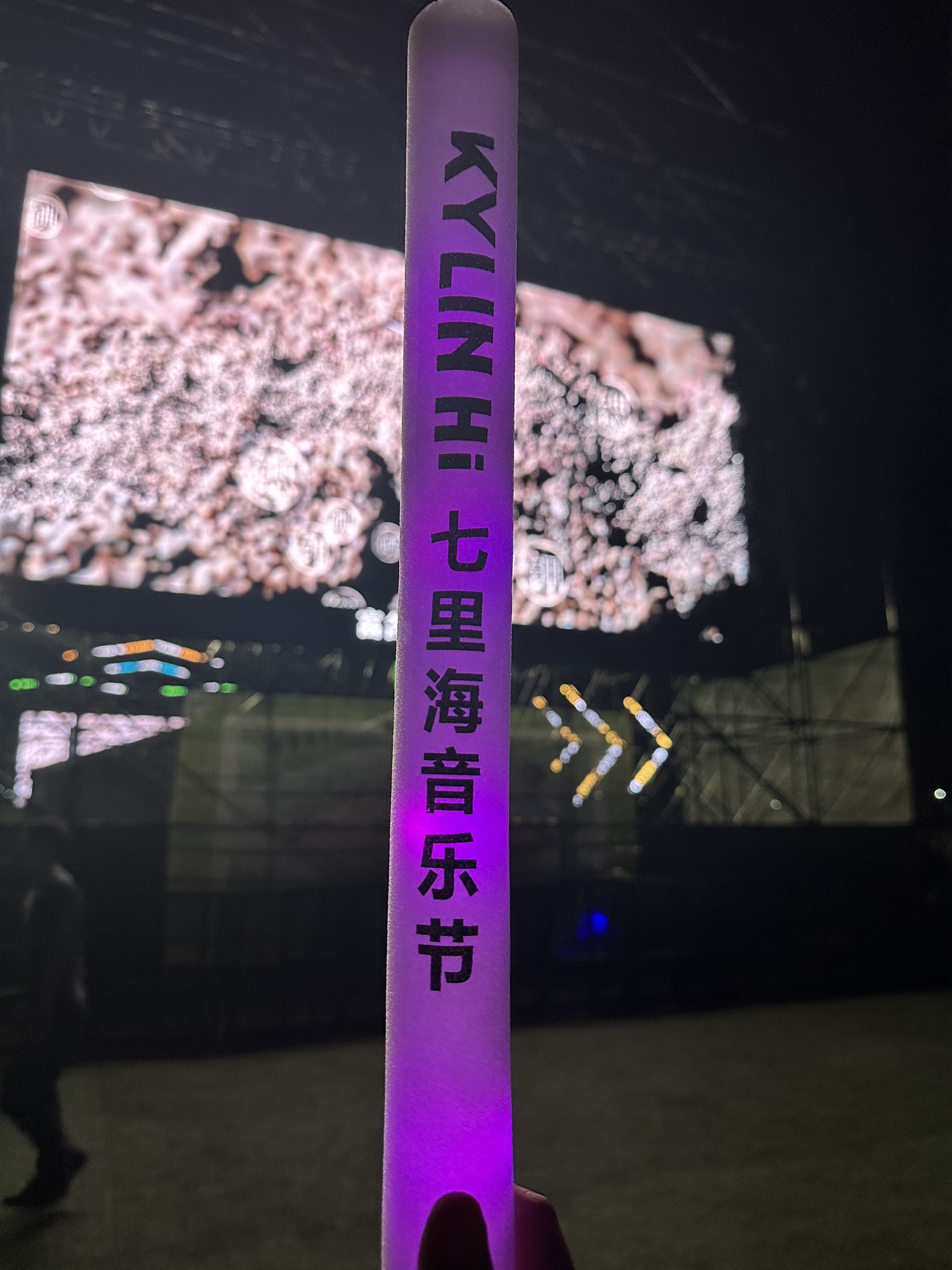 麒麟广场(七里海马拉松主会场)旅行图片 2