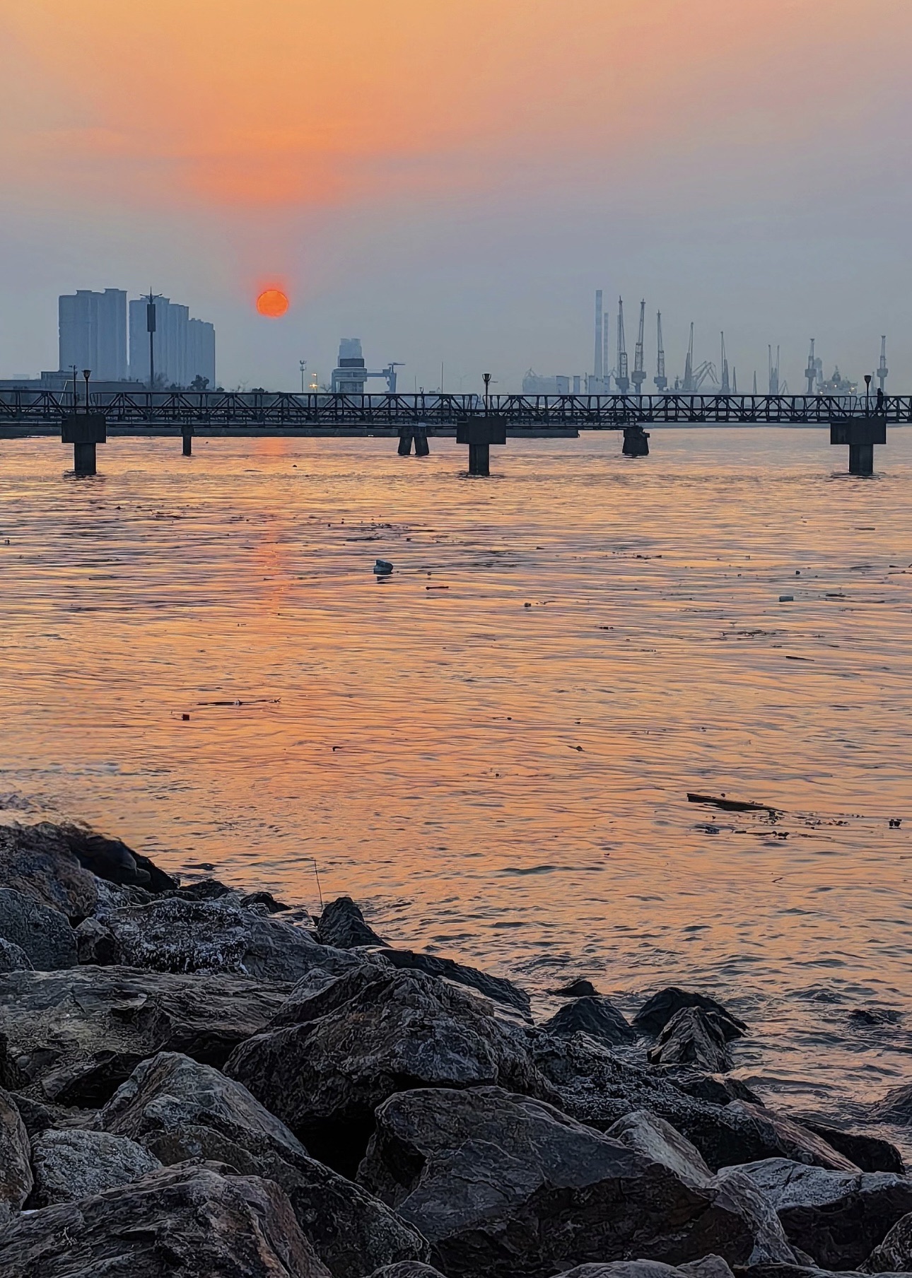 黄田港公园旅行图片 3