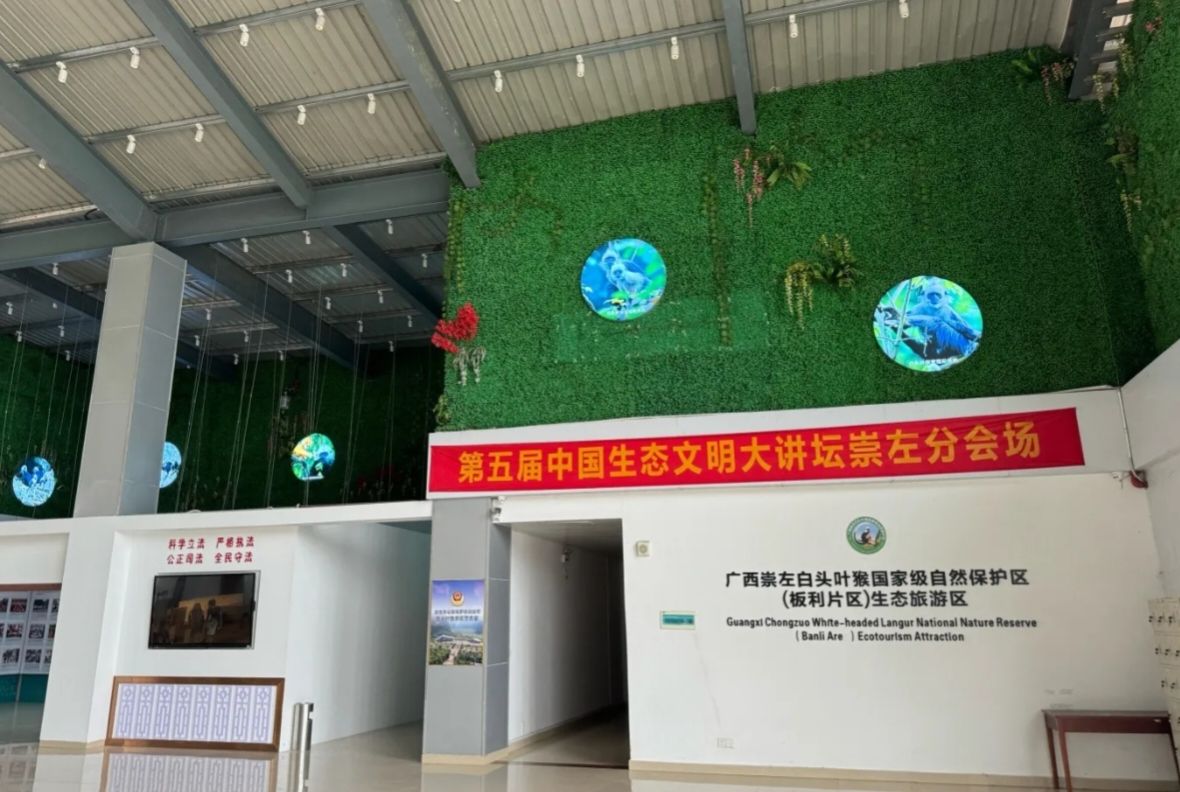 扶绥白头叶猴文旅研学基地旅行图片 2