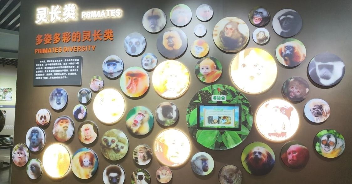 扶绥白头叶猴文旅研学基地旅行图片 3