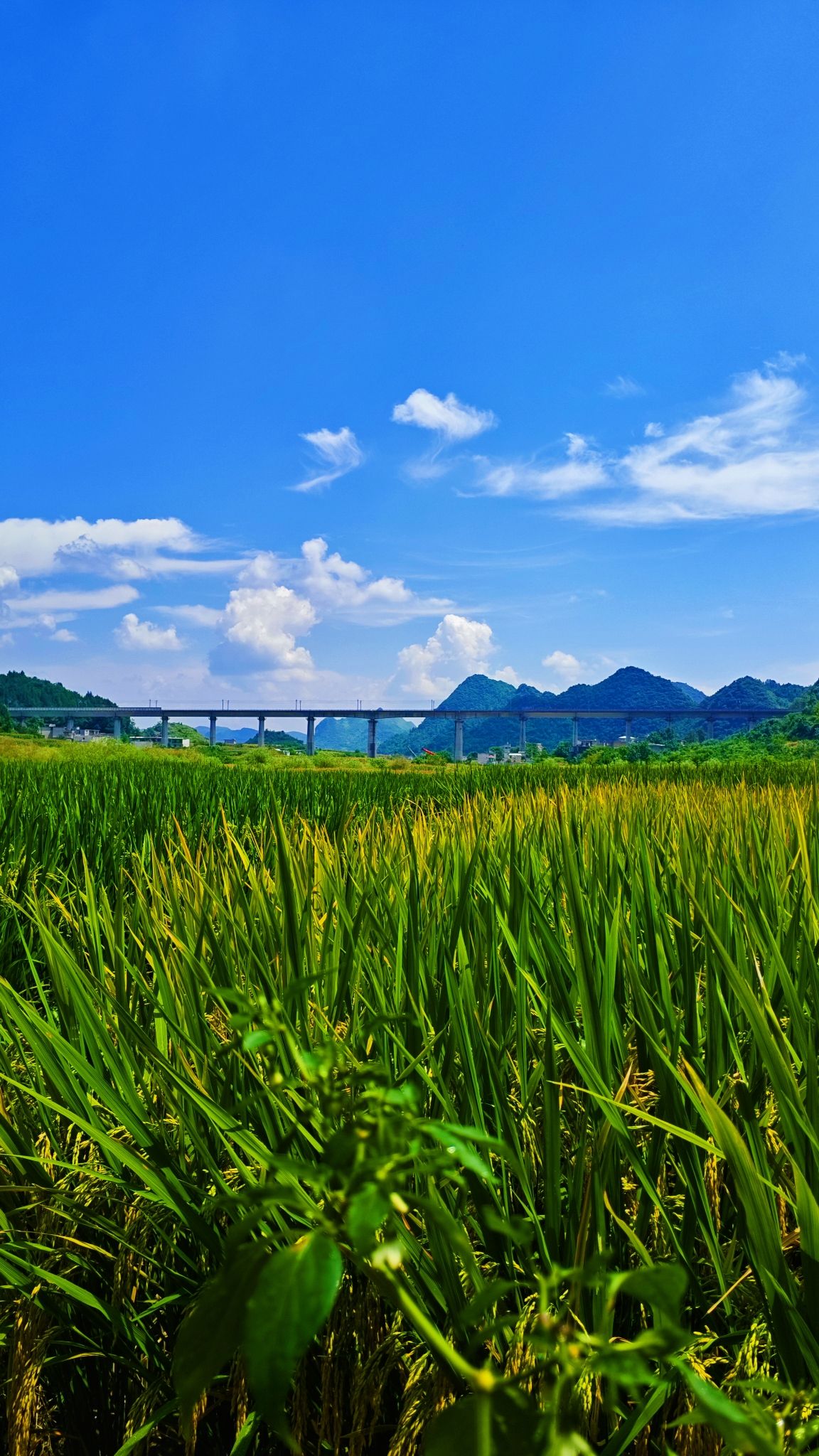 可布村瀑布旅行图片 3