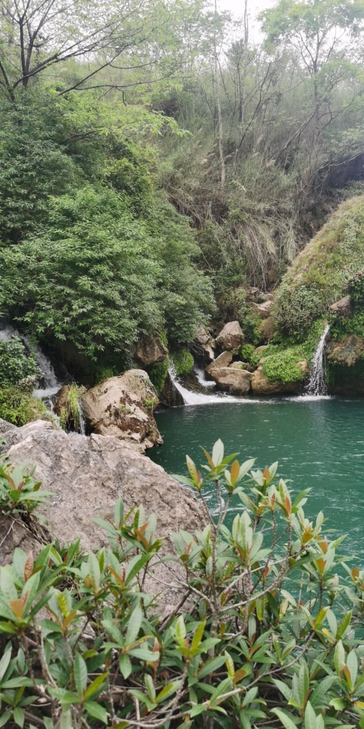 可布村瀑布旅行图片 1