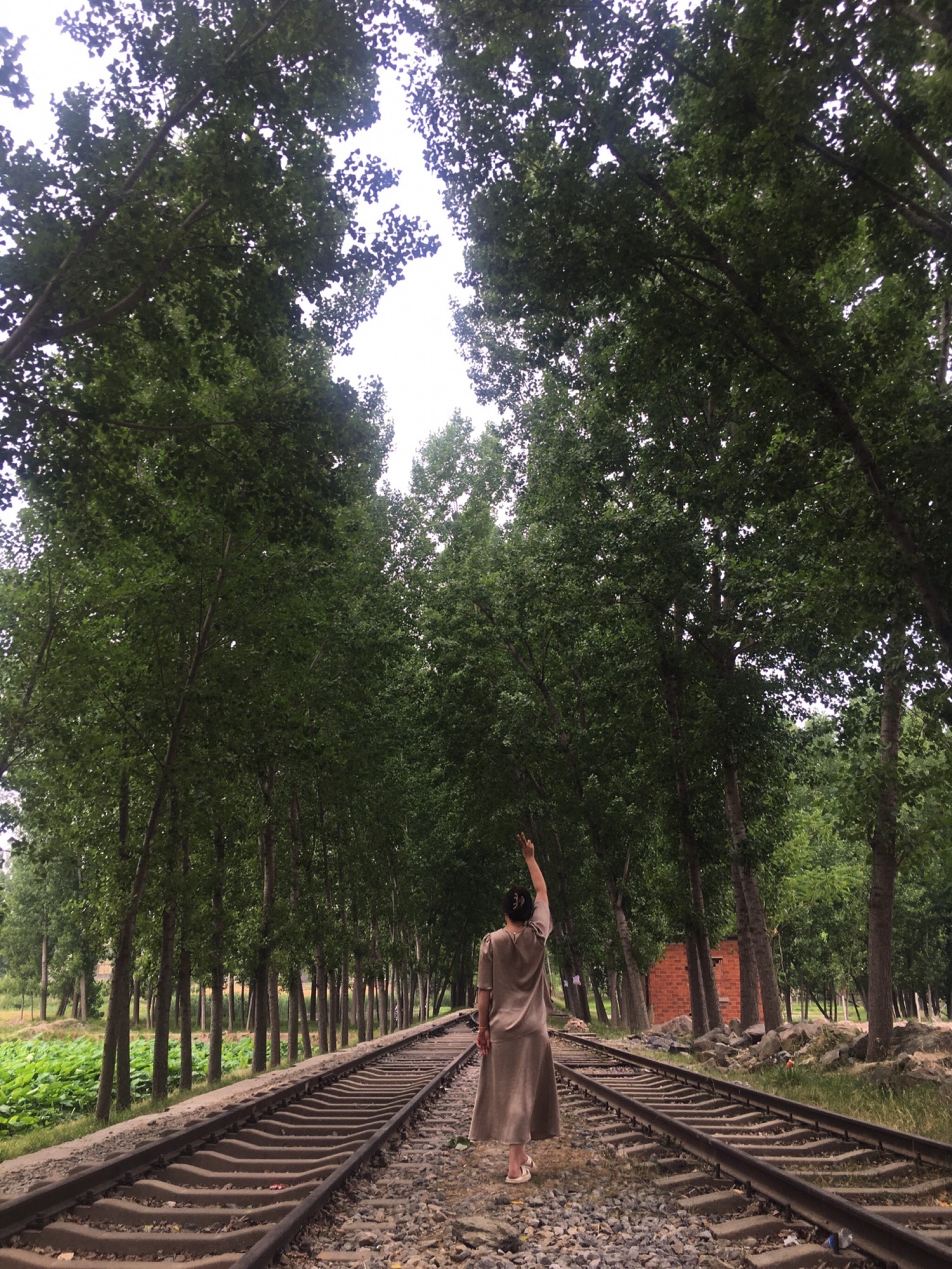 蒲山铁路文化公园旅行图片 1