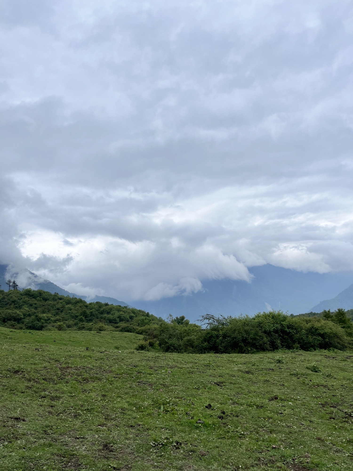 熊猫坪草甸旅行图片 3