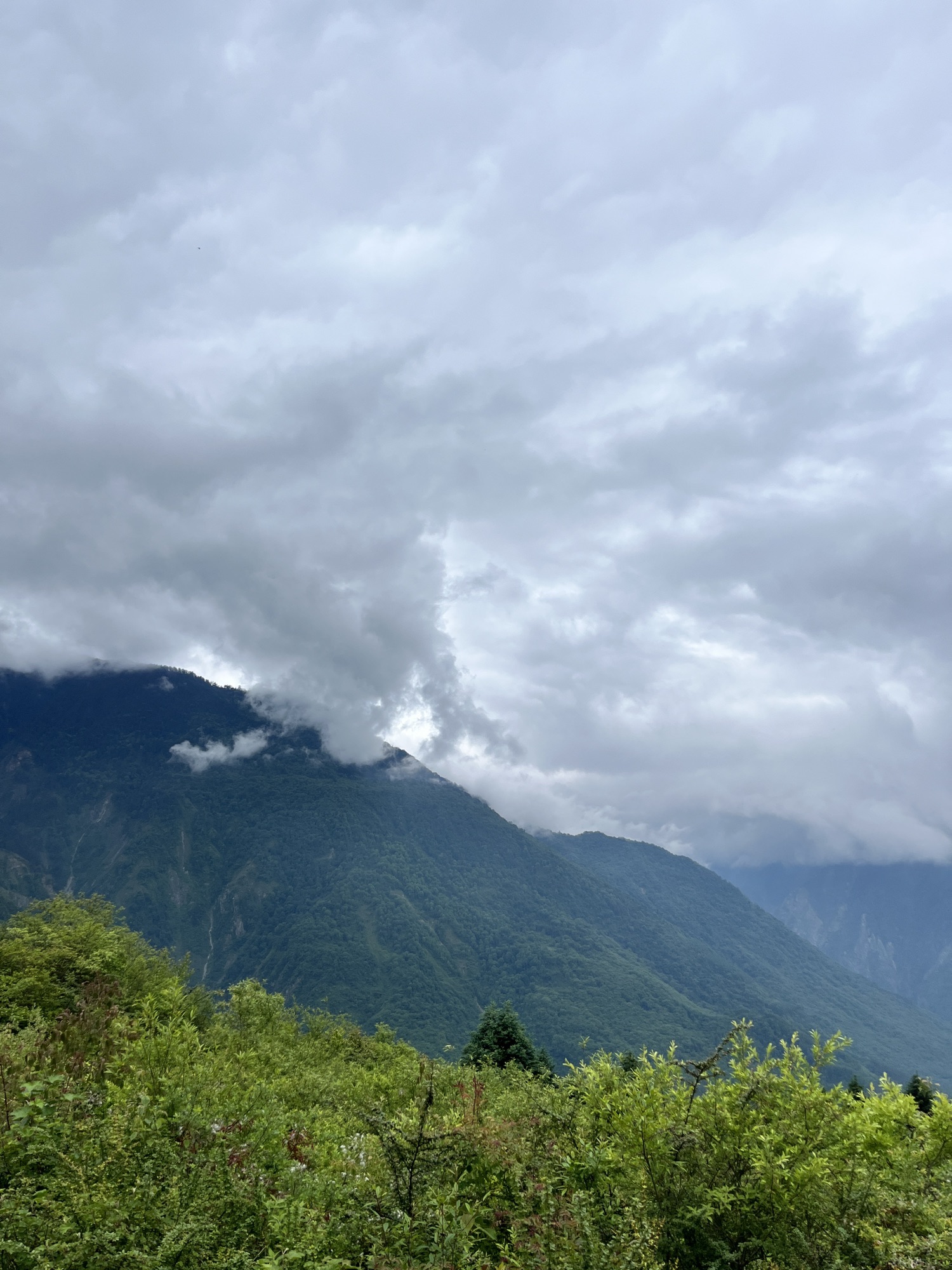 熊猫坪草甸旅行图片 2