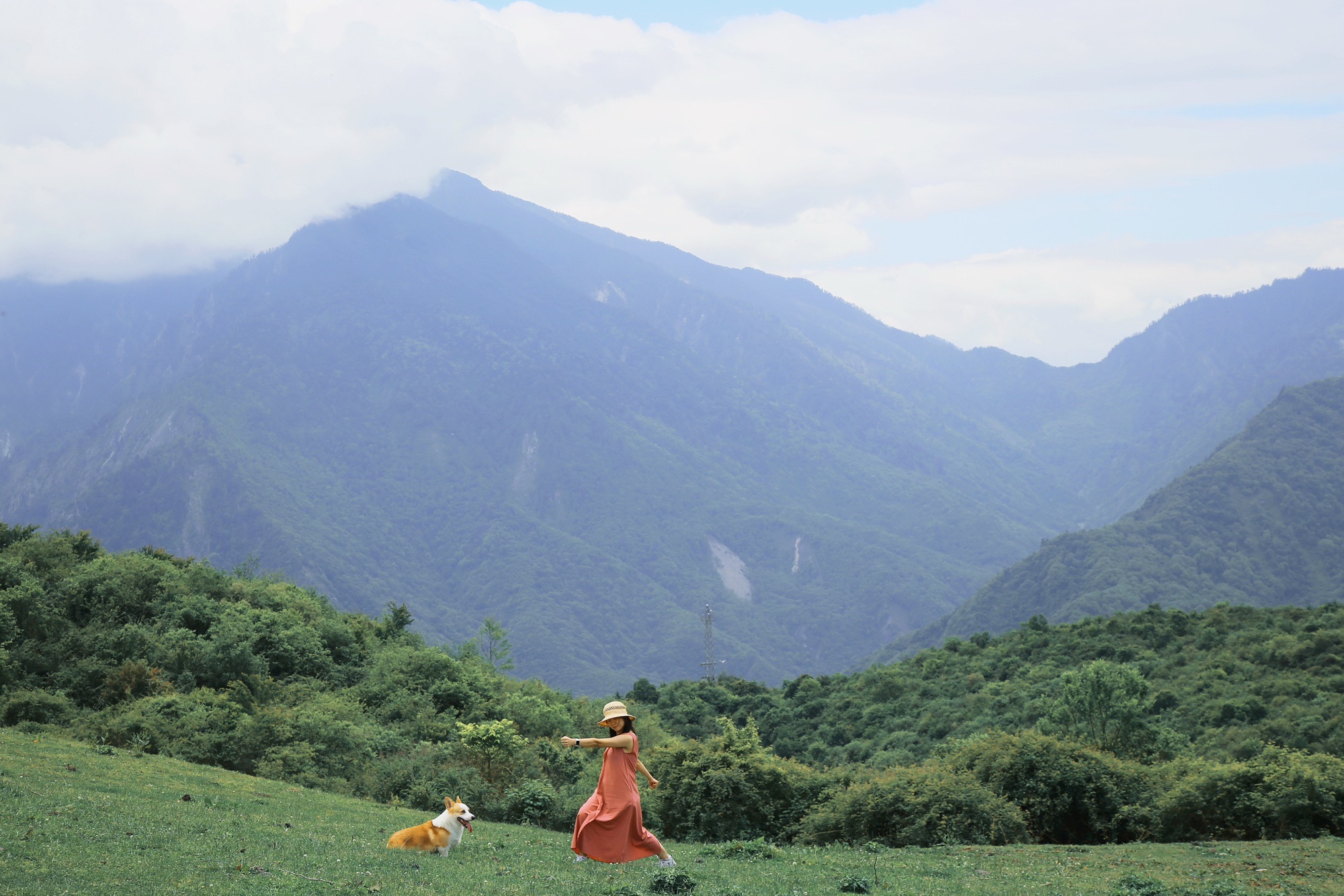 熊猫坪草甸旅行图片 1