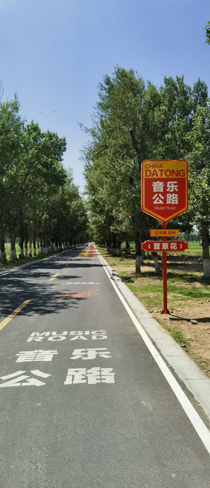 萱草花音乐公路旅行图片 1