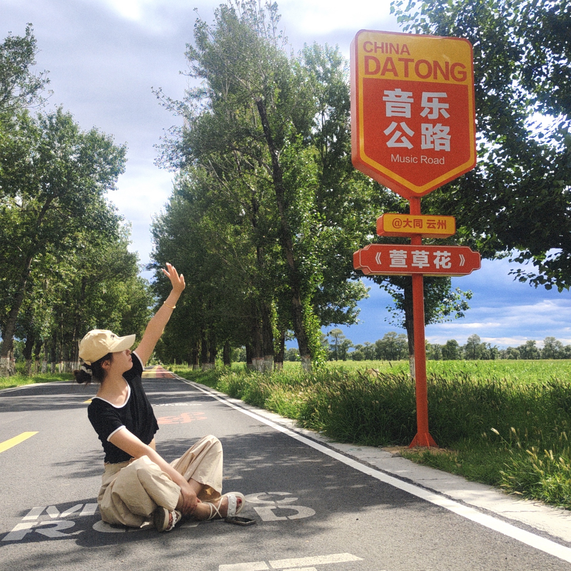 萱草花音乐公路旅行图片 2