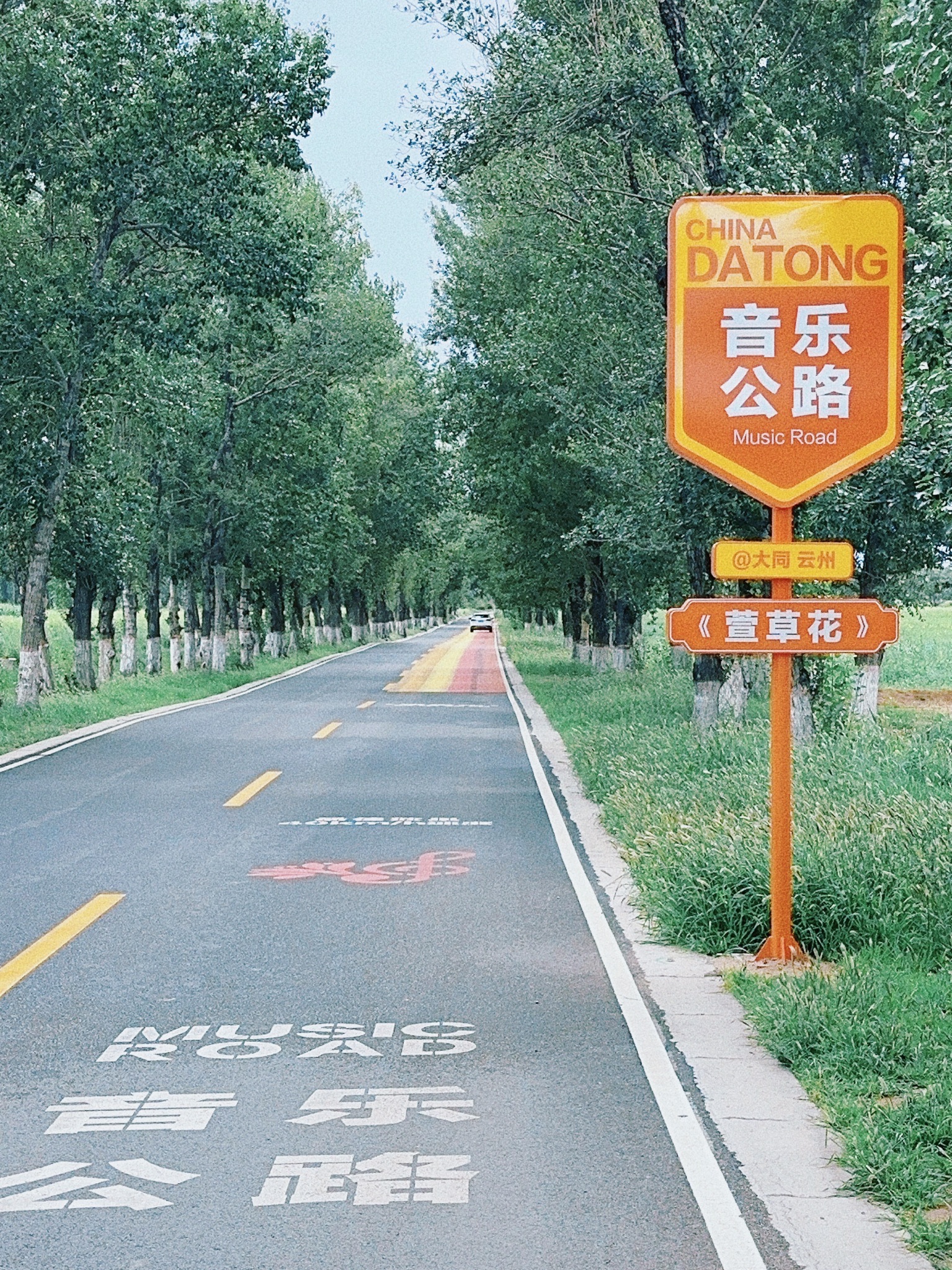 萱草花音乐公路旅行图片 1