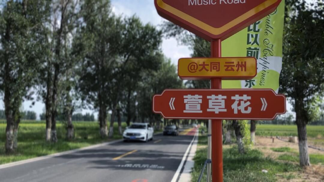 萱草花音乐公路旅行图片 1