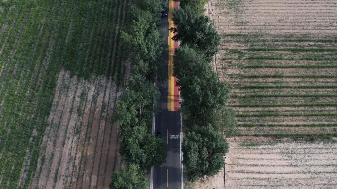 萱草花音乐公路旅行图片 2
