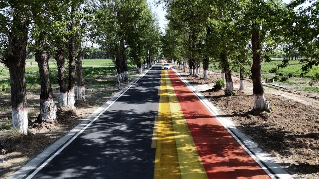 萱草花音乐公路旅行图片 3