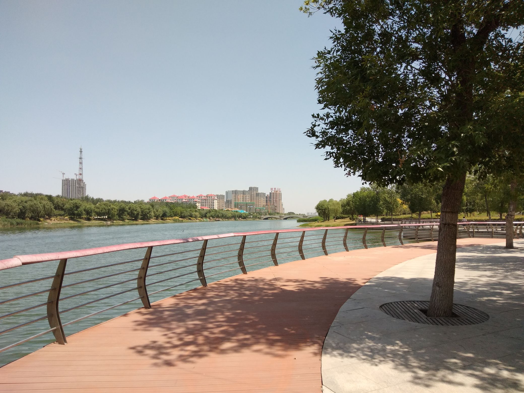 徒骇河沙滩公园旅行图片 1