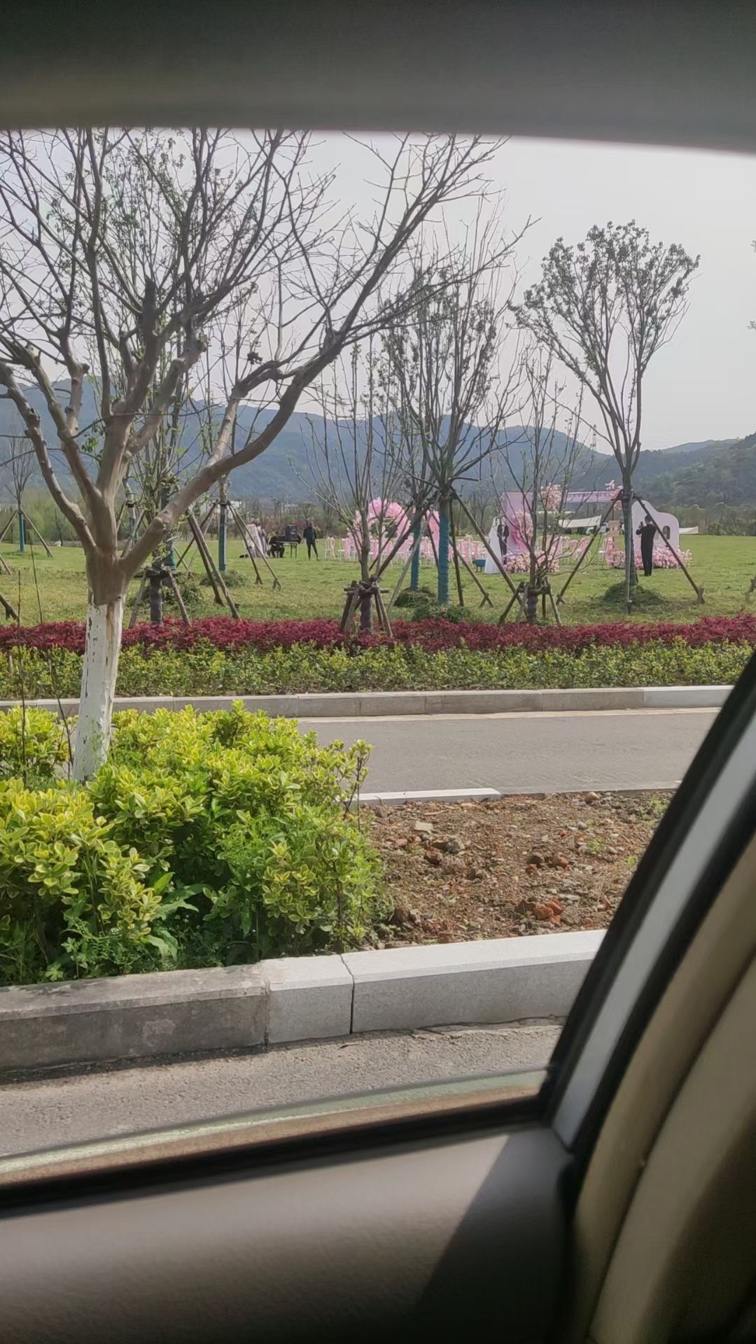 大闸湿地公园旅行图片 3