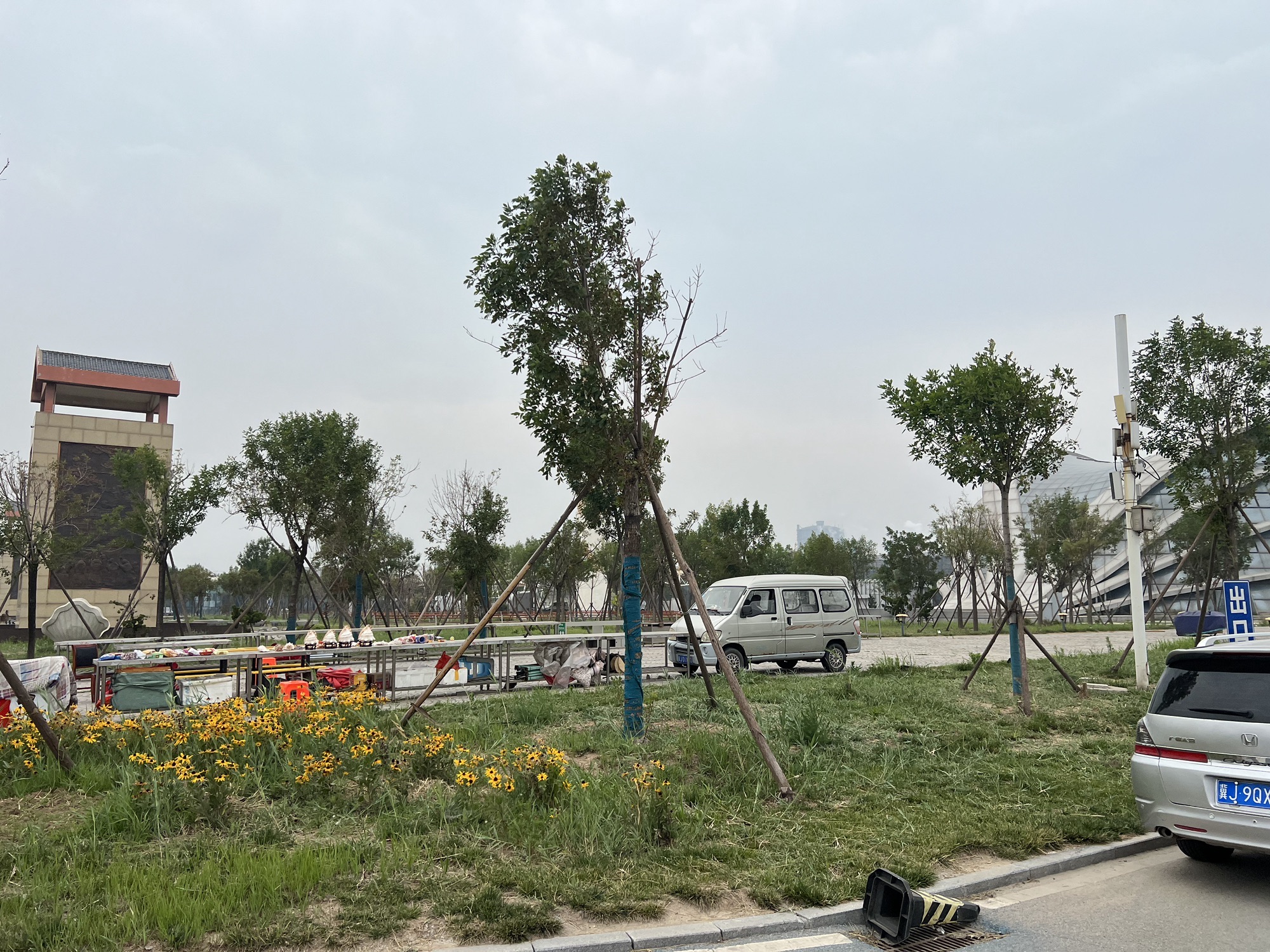 东渡码头公园广场旅行图片 2