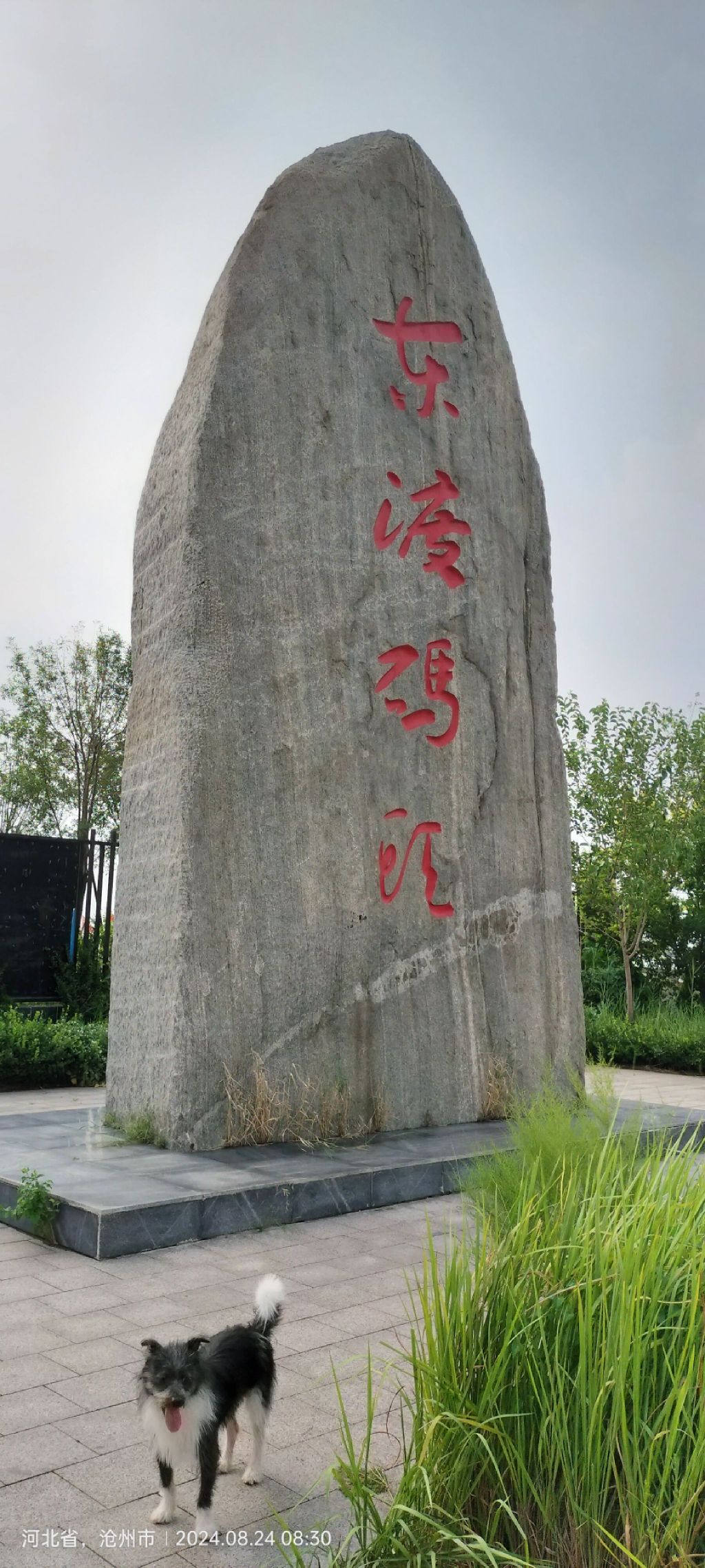 东渡码头公园广场旅行图片 1