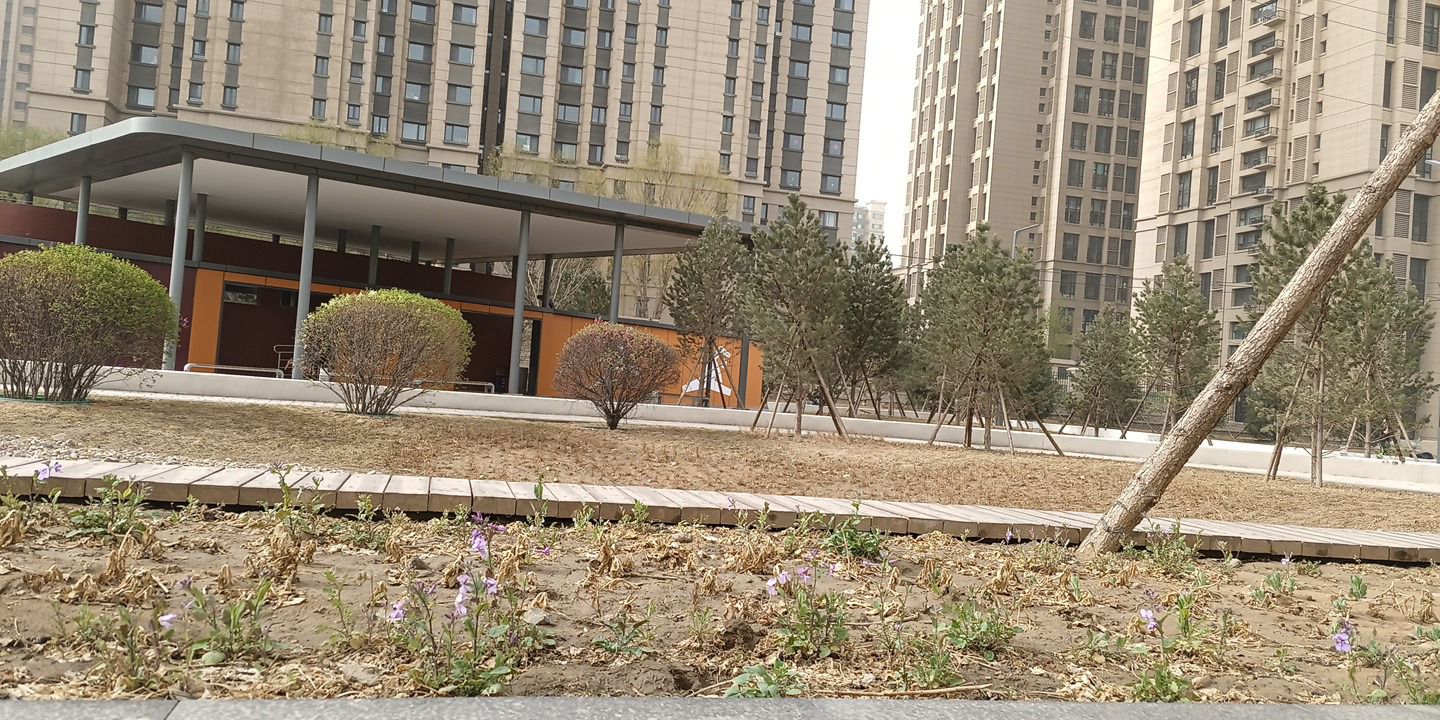 恒大天玺·运动公园旅行图片