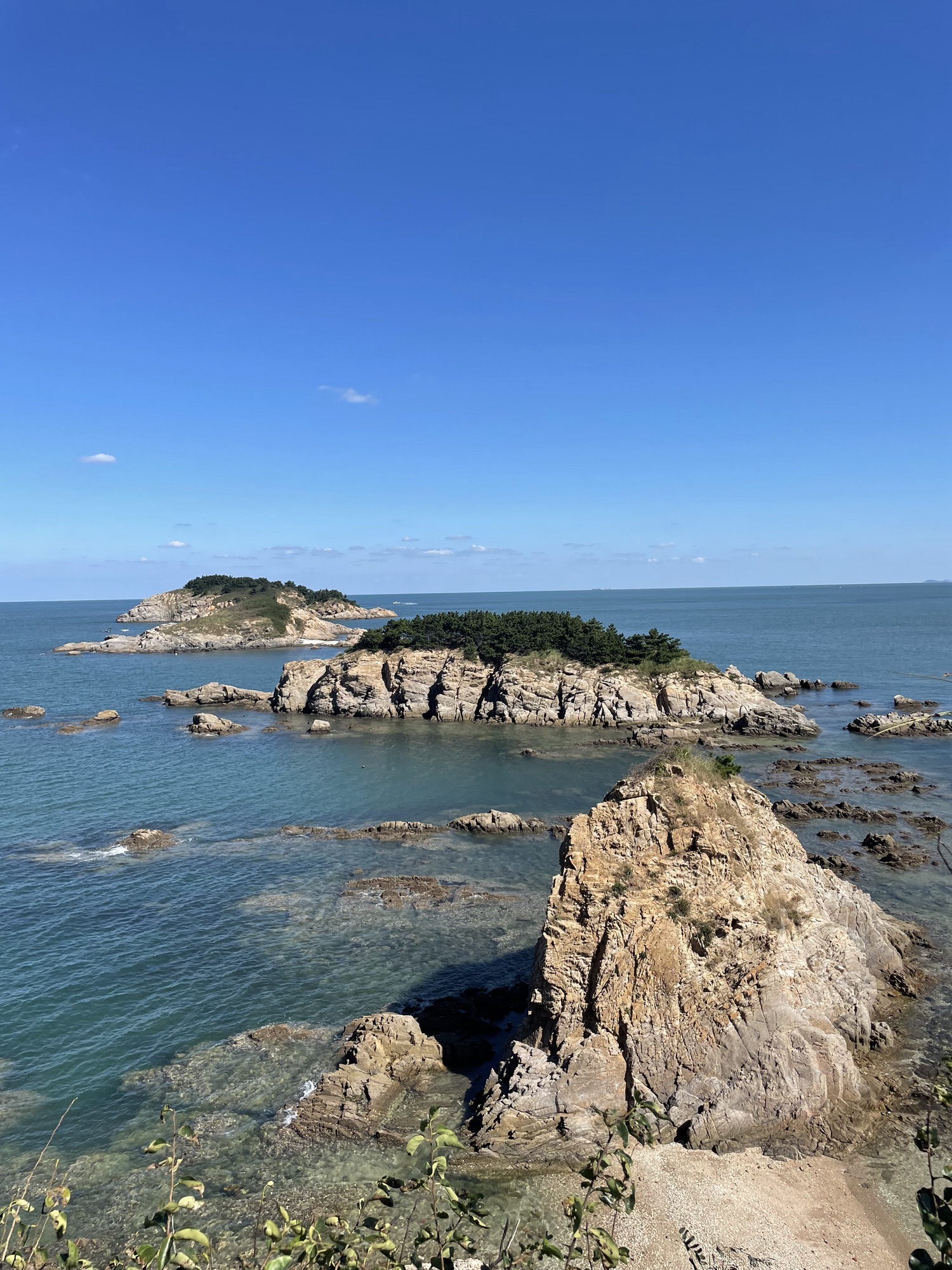 三连岛绿地开放共享区旅行图片 3
