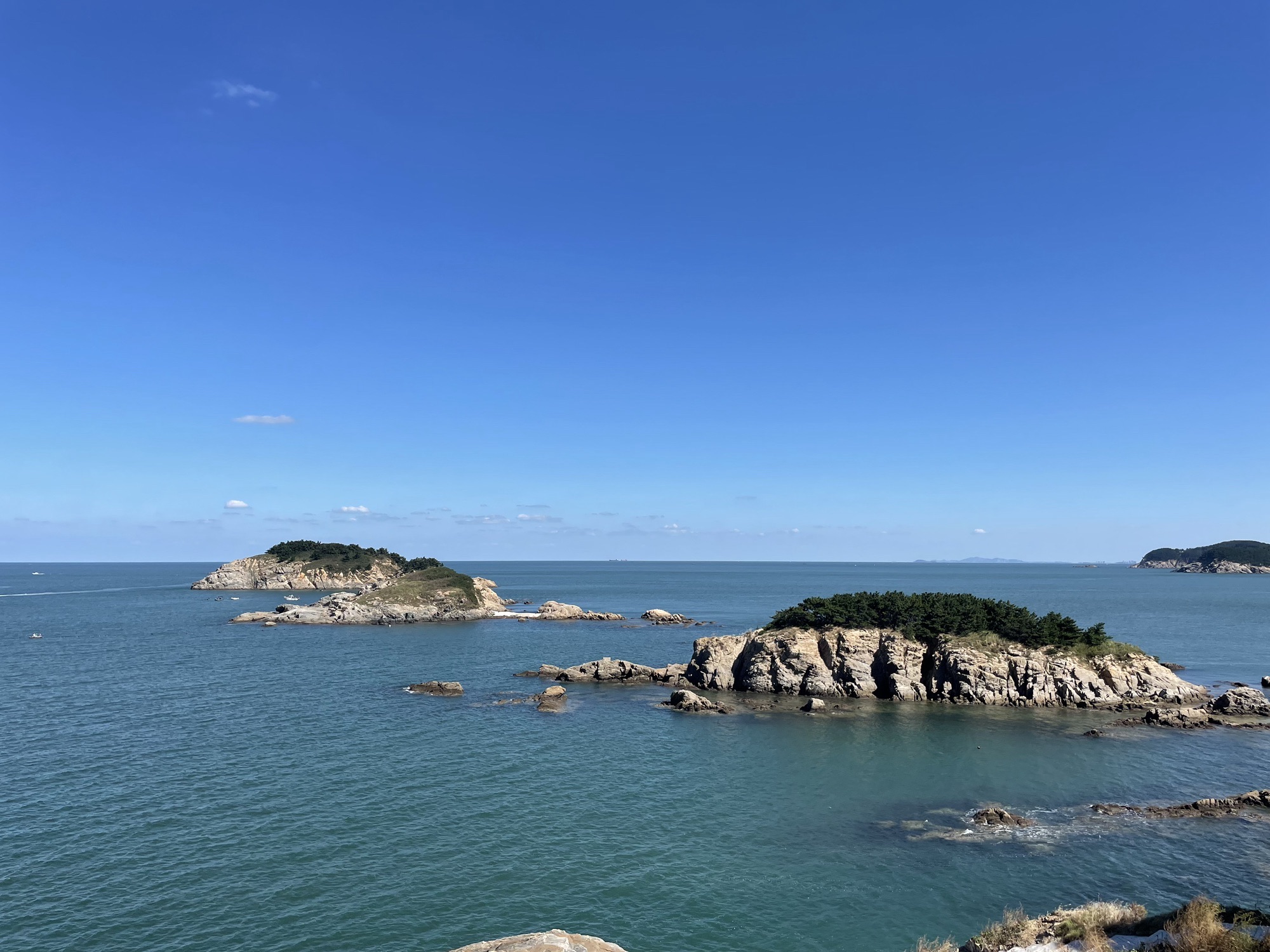 三连岛绿地开放共享区旅行图片 1
