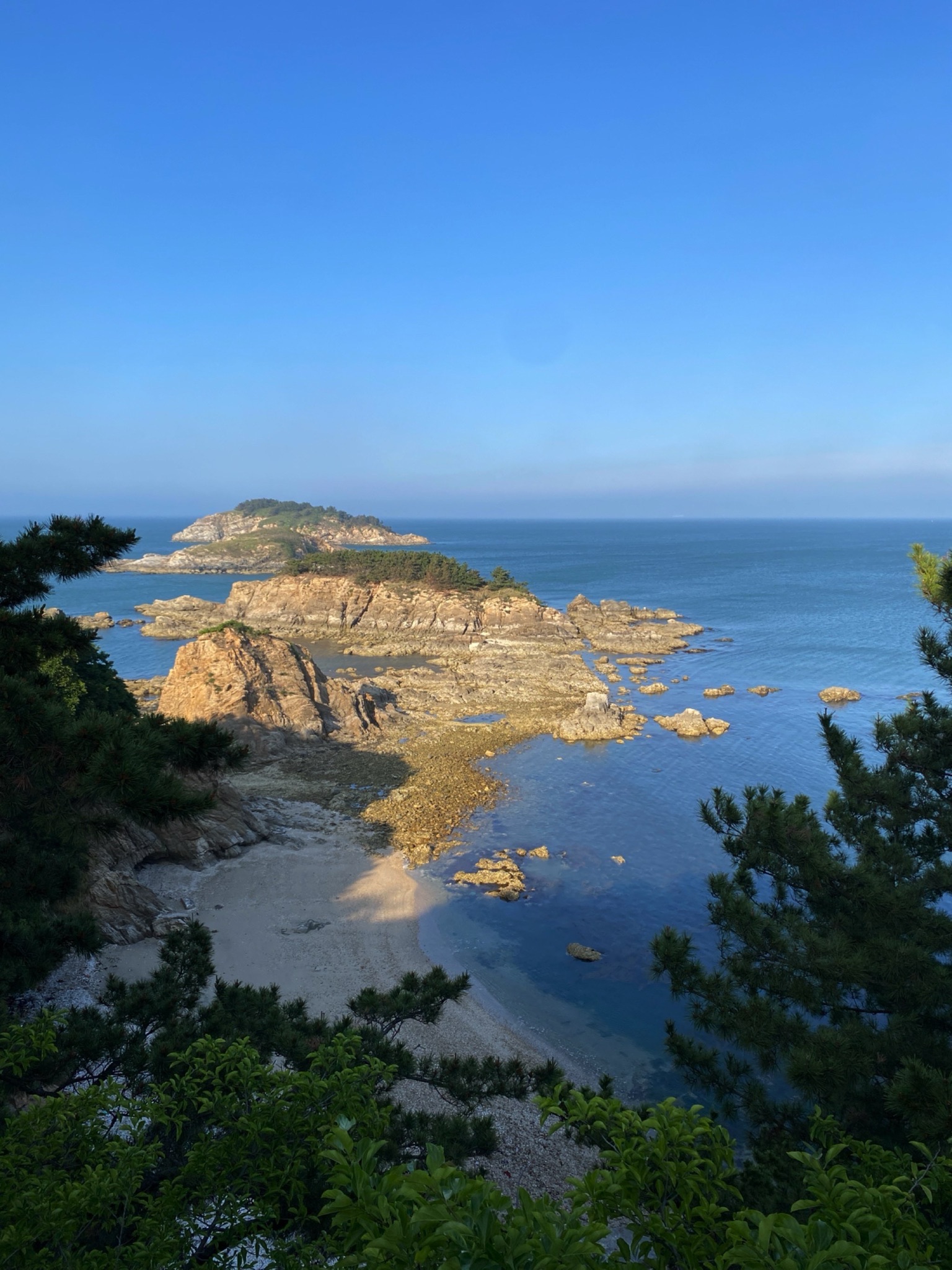 三连岛绿地开放共享区旅行图片