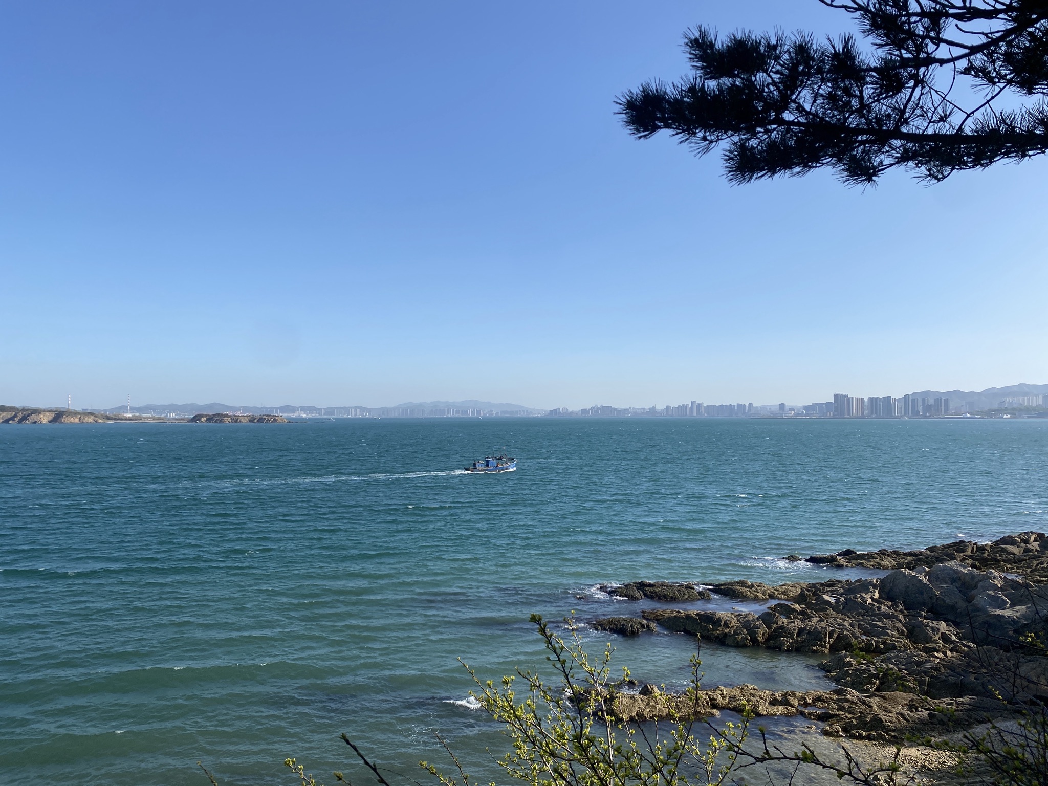 三连岛绿地开放共享区旅行图片 2