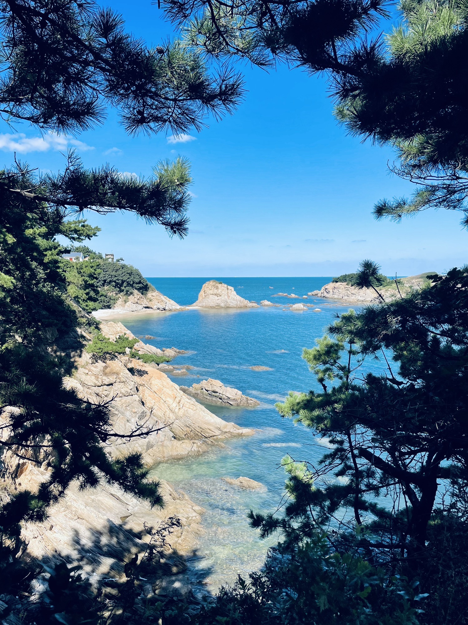 三连岛绿地开放共享区旅行图片 2