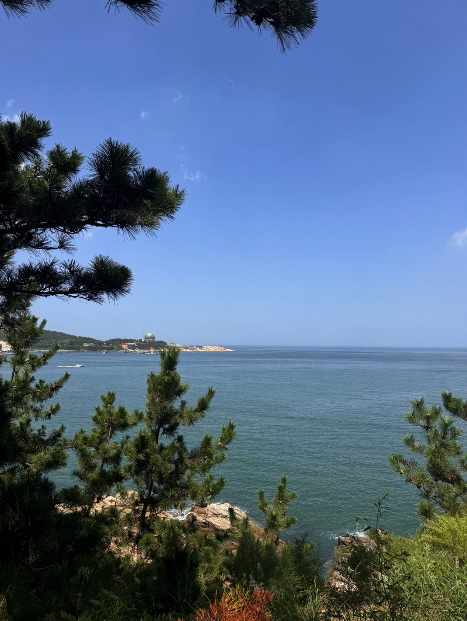 三连岛绿地开放共享区旅行图片 1