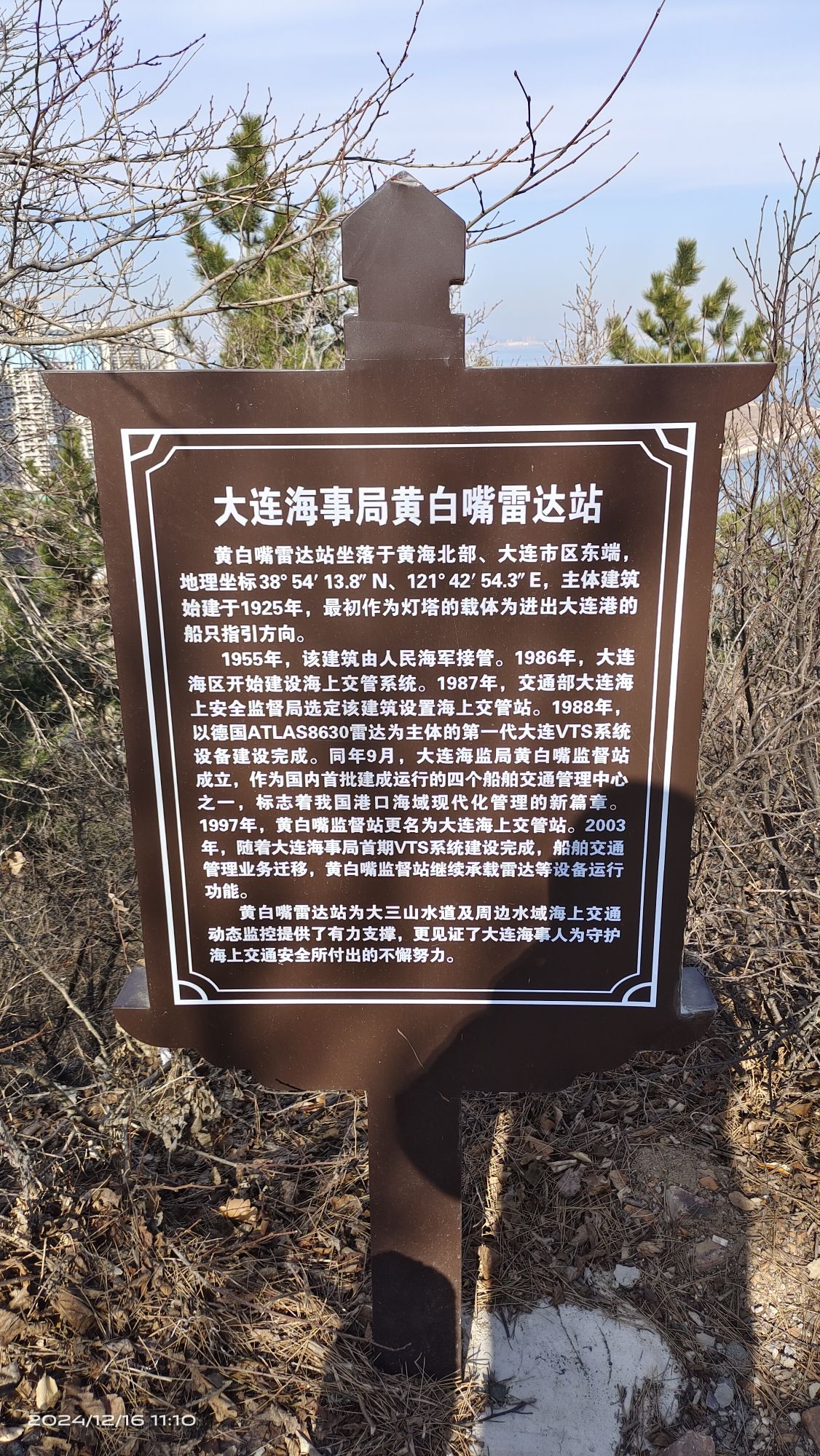 黄白嘴沙滩旅行图片 1
