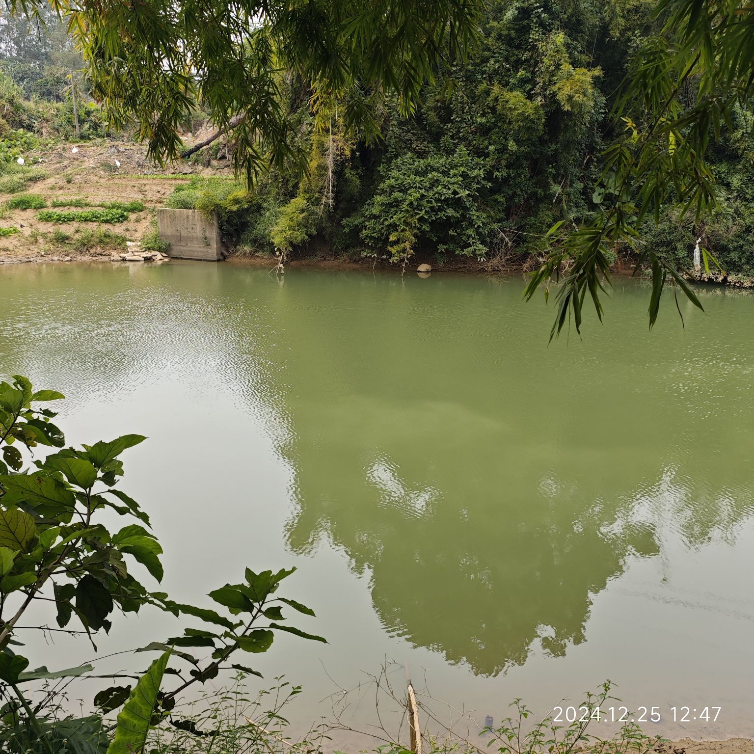 水南森林公园旅行图片 1