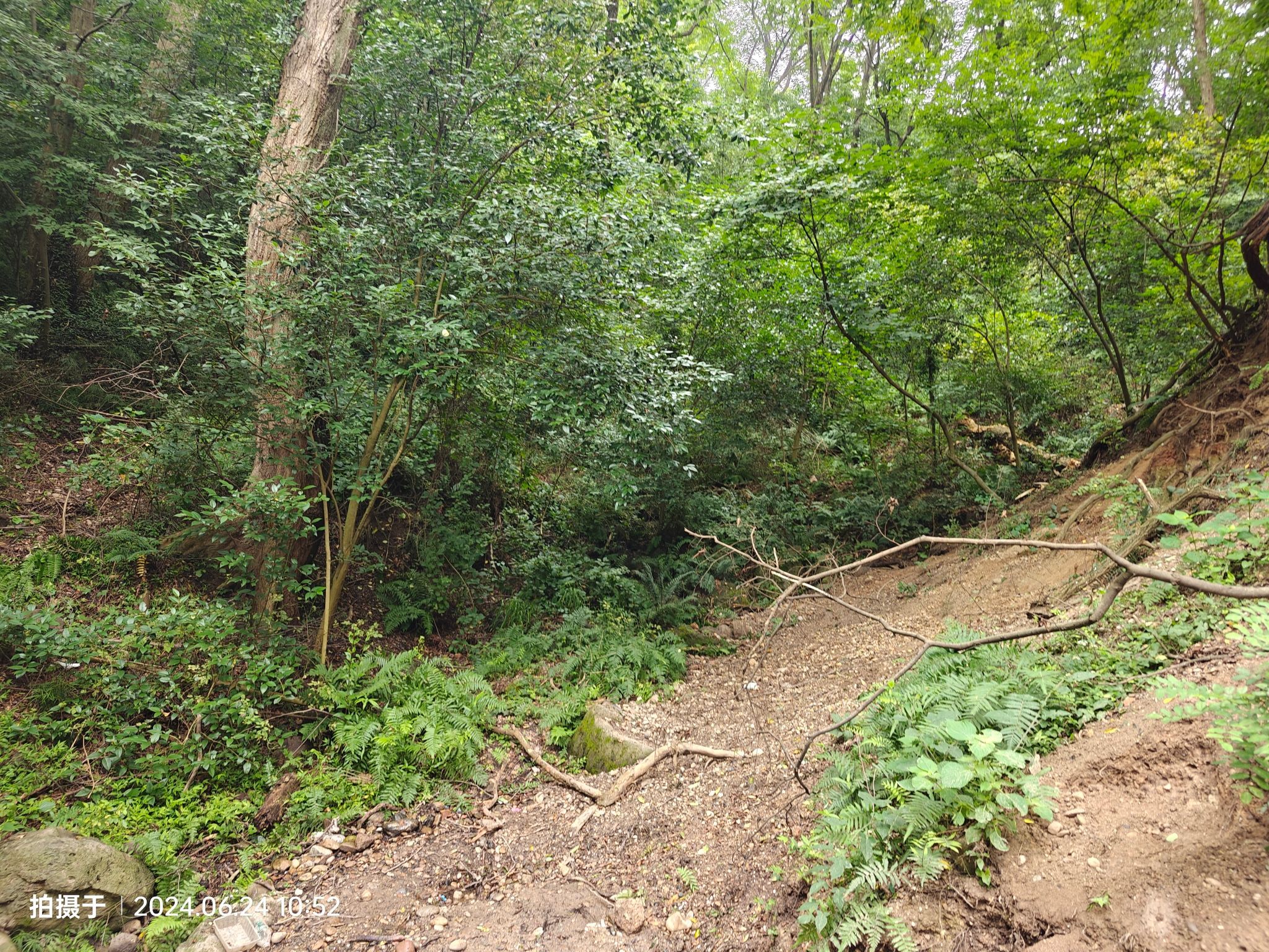灵岩山玛瑙涧采石遗址旅行图片 1