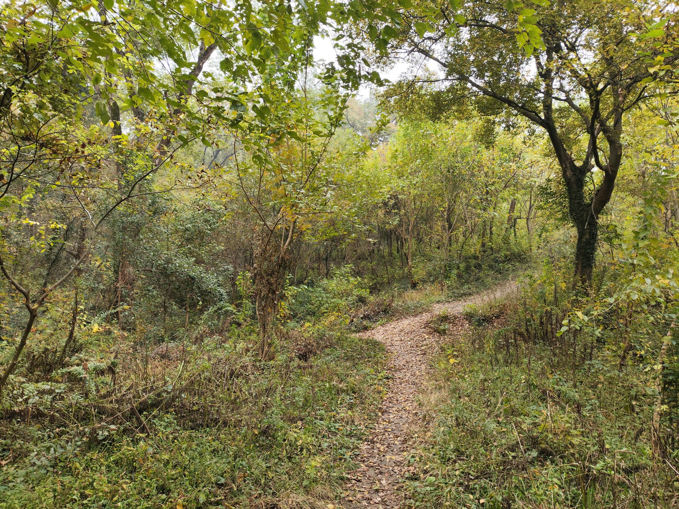 灵岩山玛瑙涧采石遗址旅行图片 3