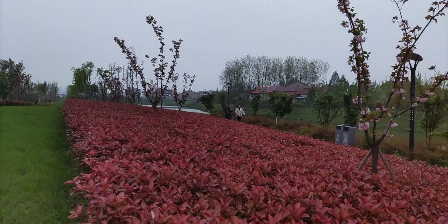 公安县瓦池河公园旅行图片 3