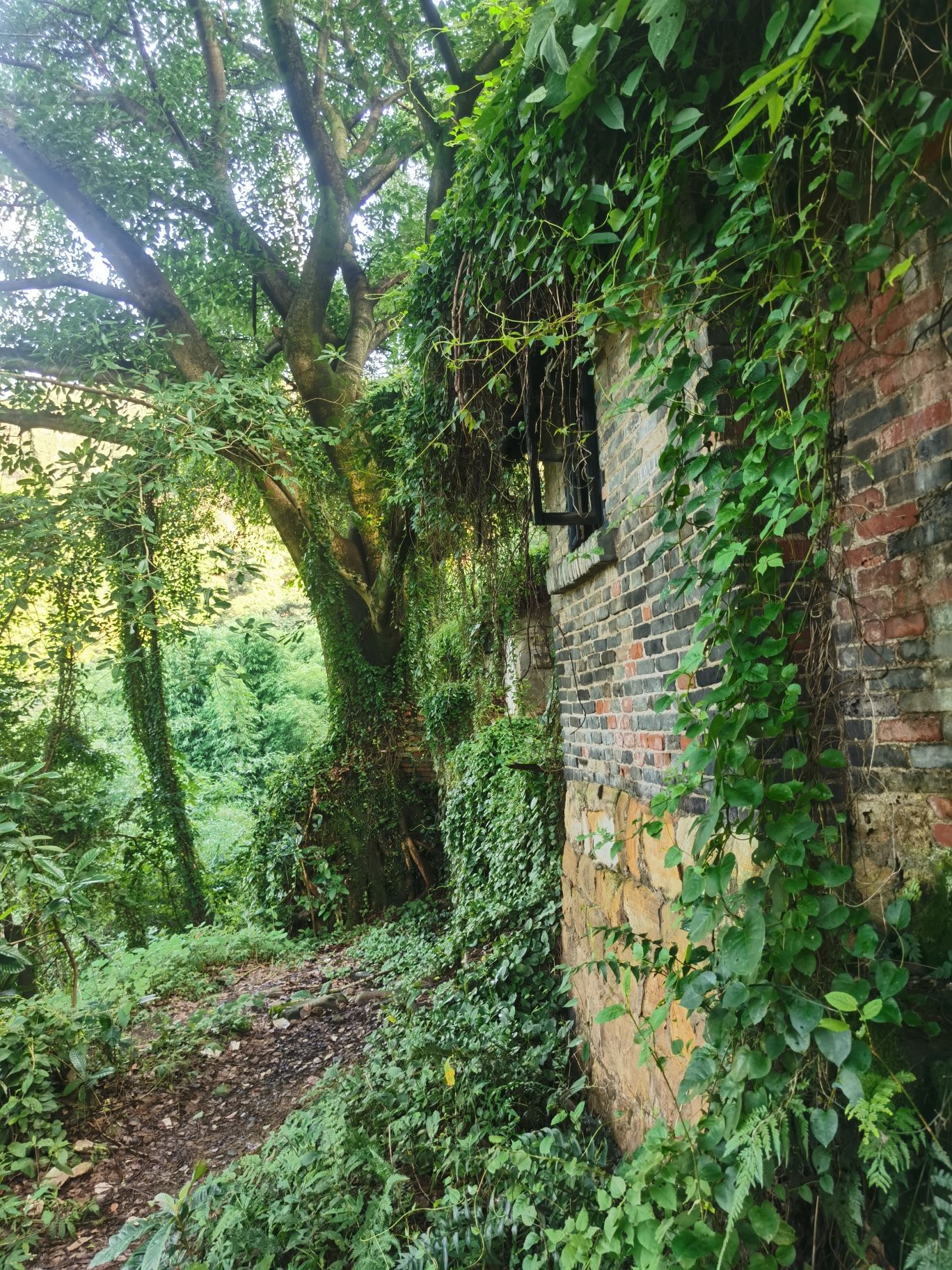 重庆·蜀山剑宗旅行图片 2