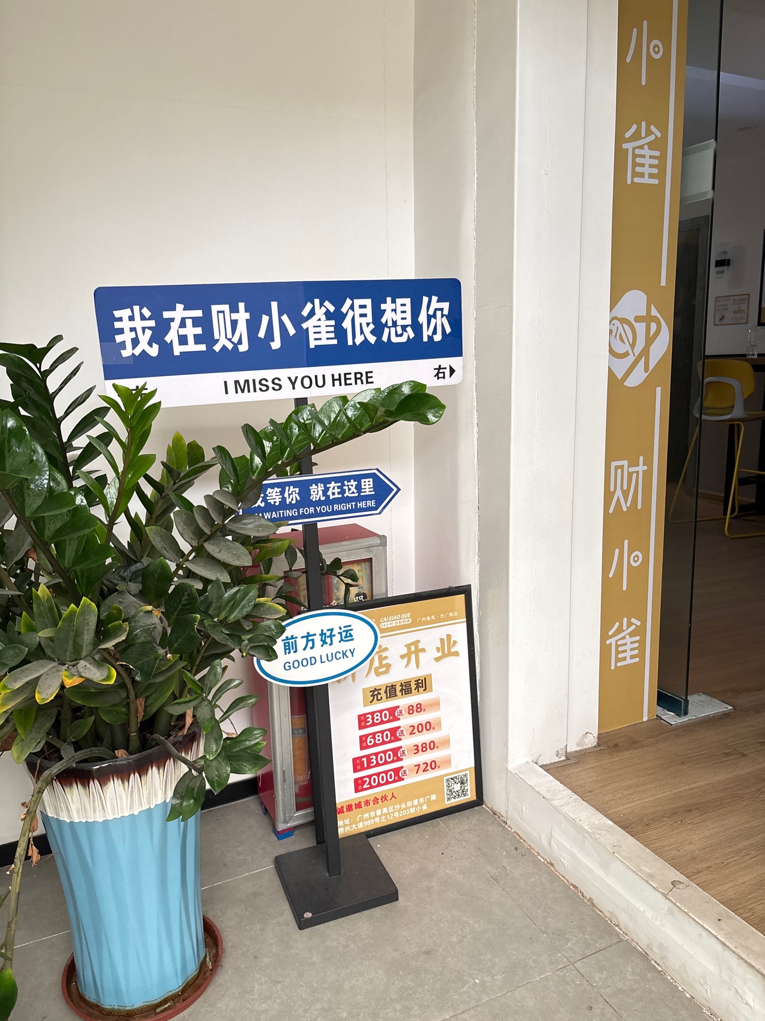 场地封面-财小雀24h自助棋牌