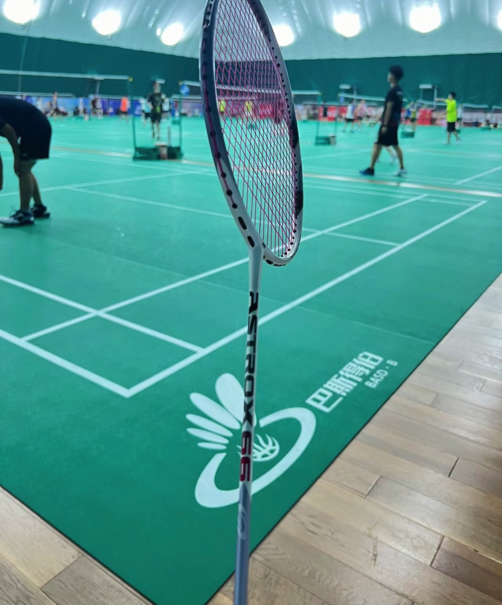场地封面-巴斯得伯羽毛球馆