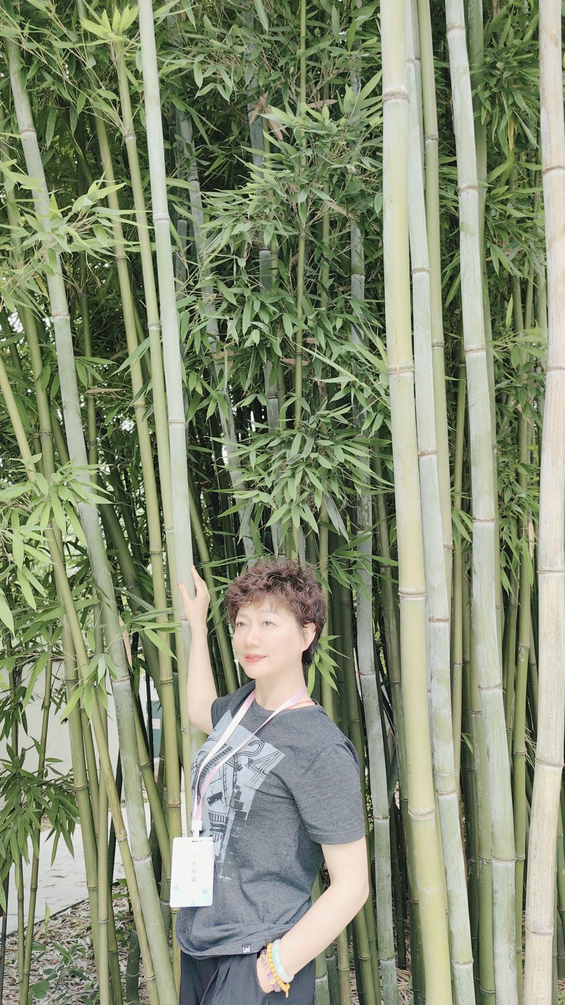 南轩精舍旅行图片 3