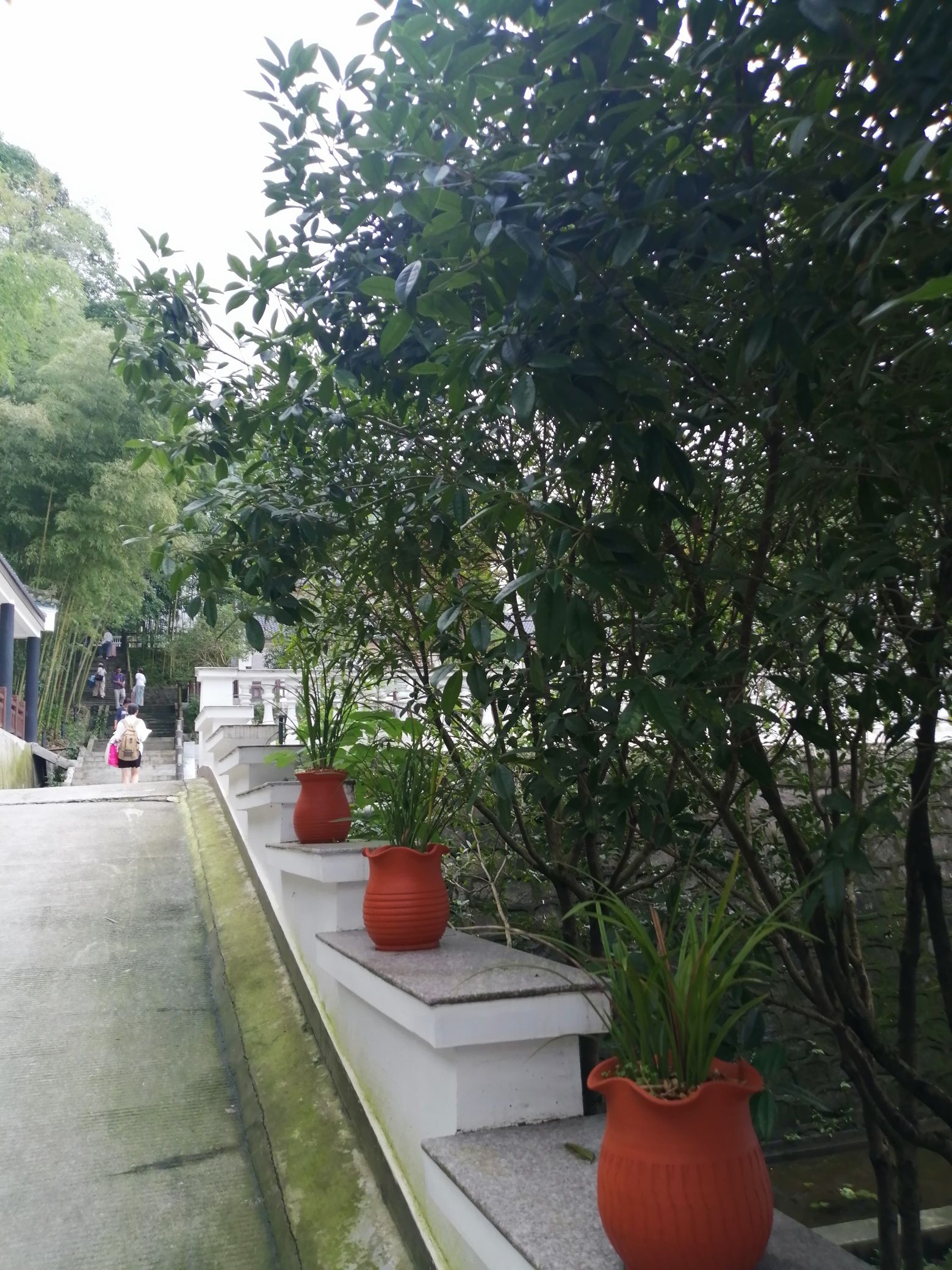 南轩精舍旅行图片 3