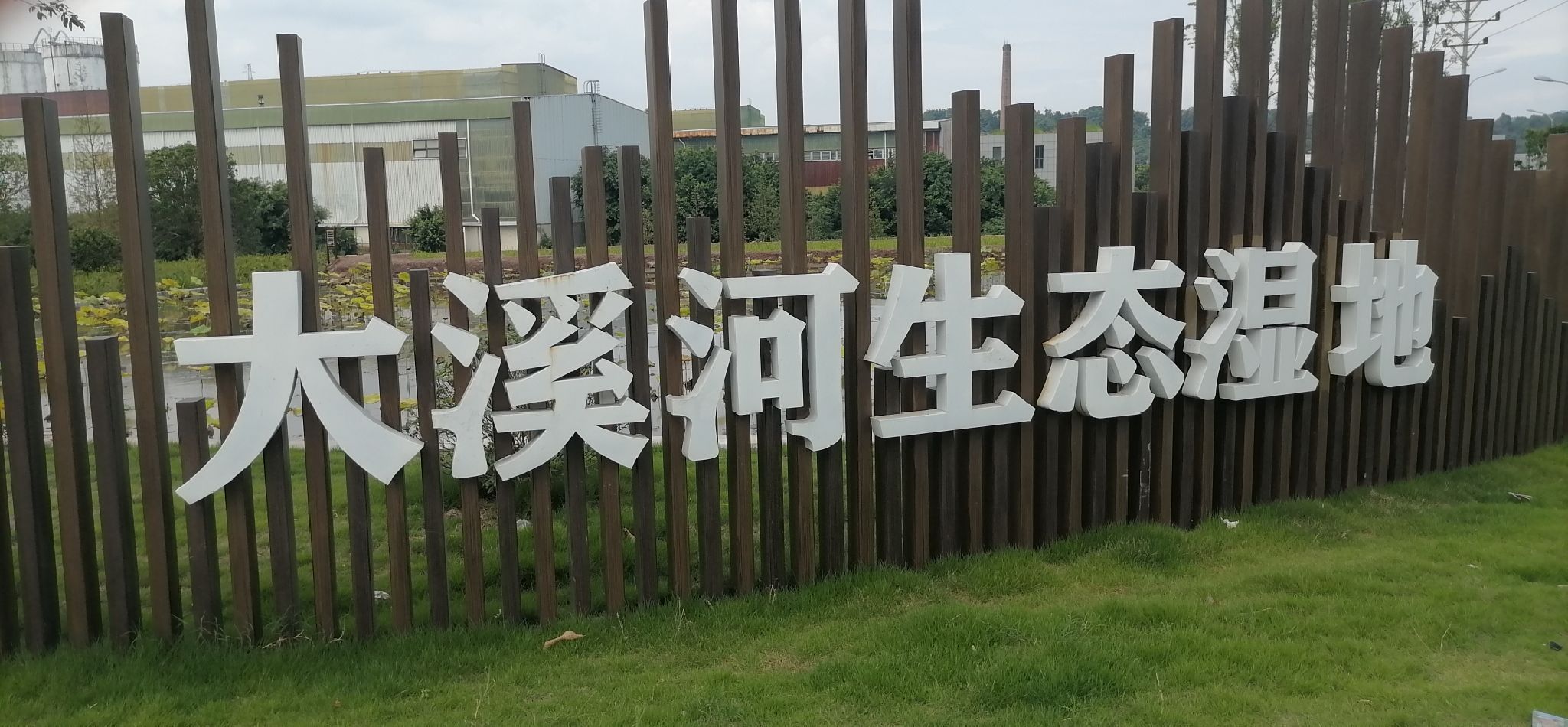 大溪河生态湿地旅行图片 2