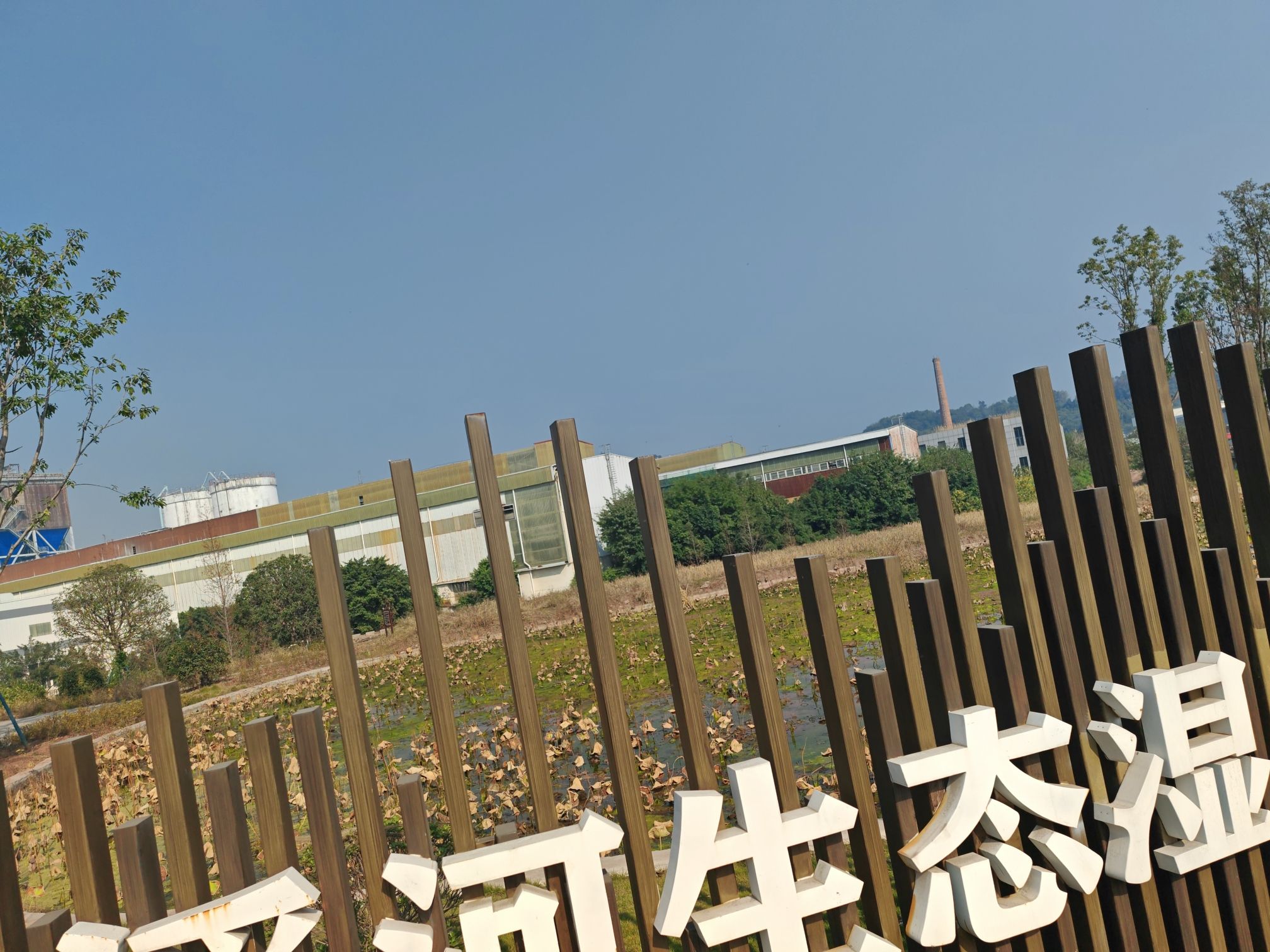 大溪河生态湿地旅行图片 1