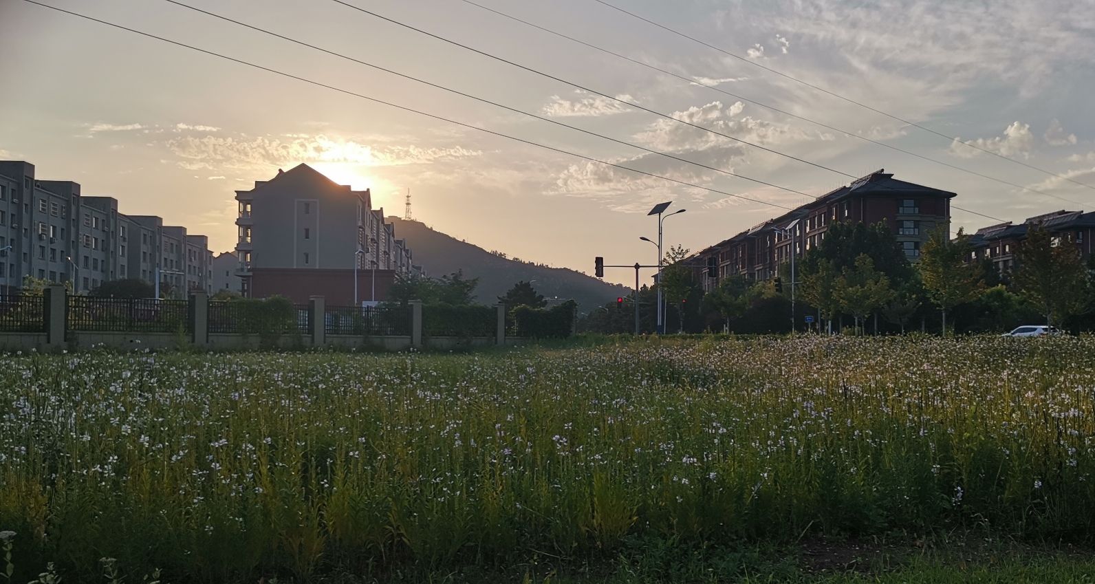 劳动公园旅行图片 3
