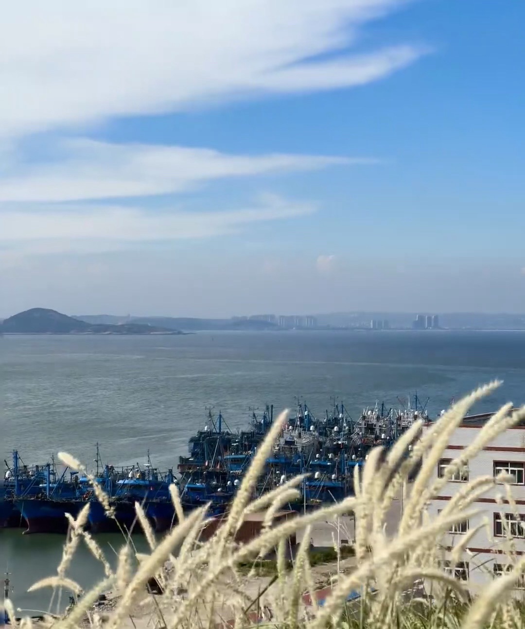 东城灯塔公园旅行图片 2