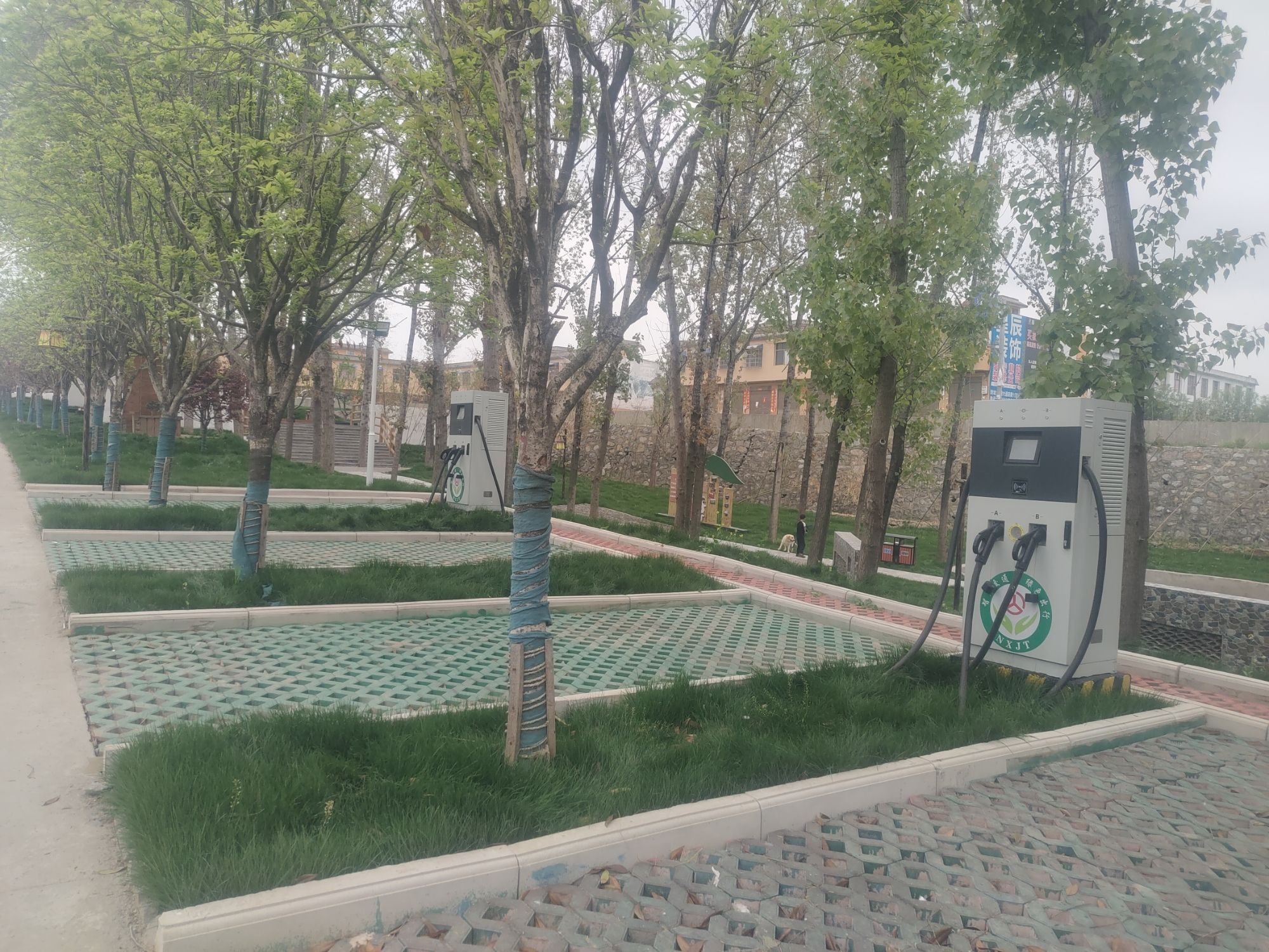 壹枝园旅行图片 3
