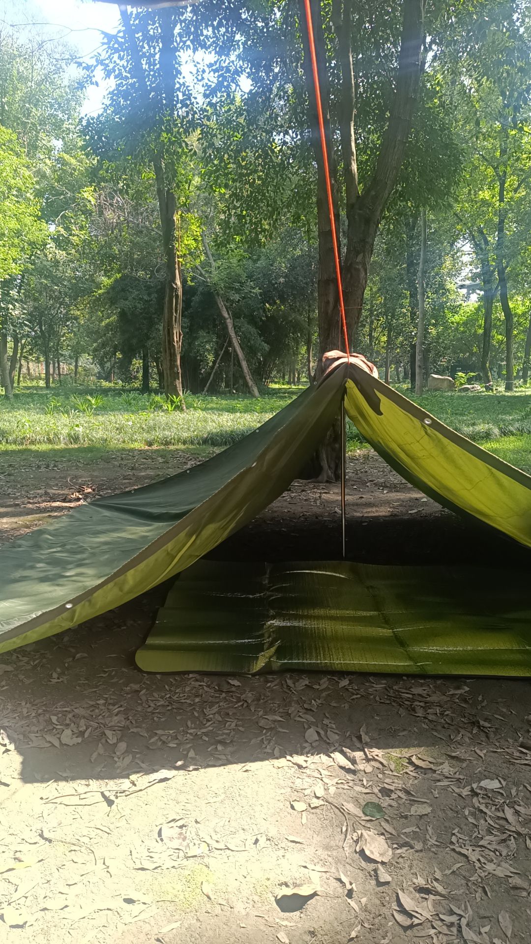 场地封面-泥巴坨森林公园-露营地
