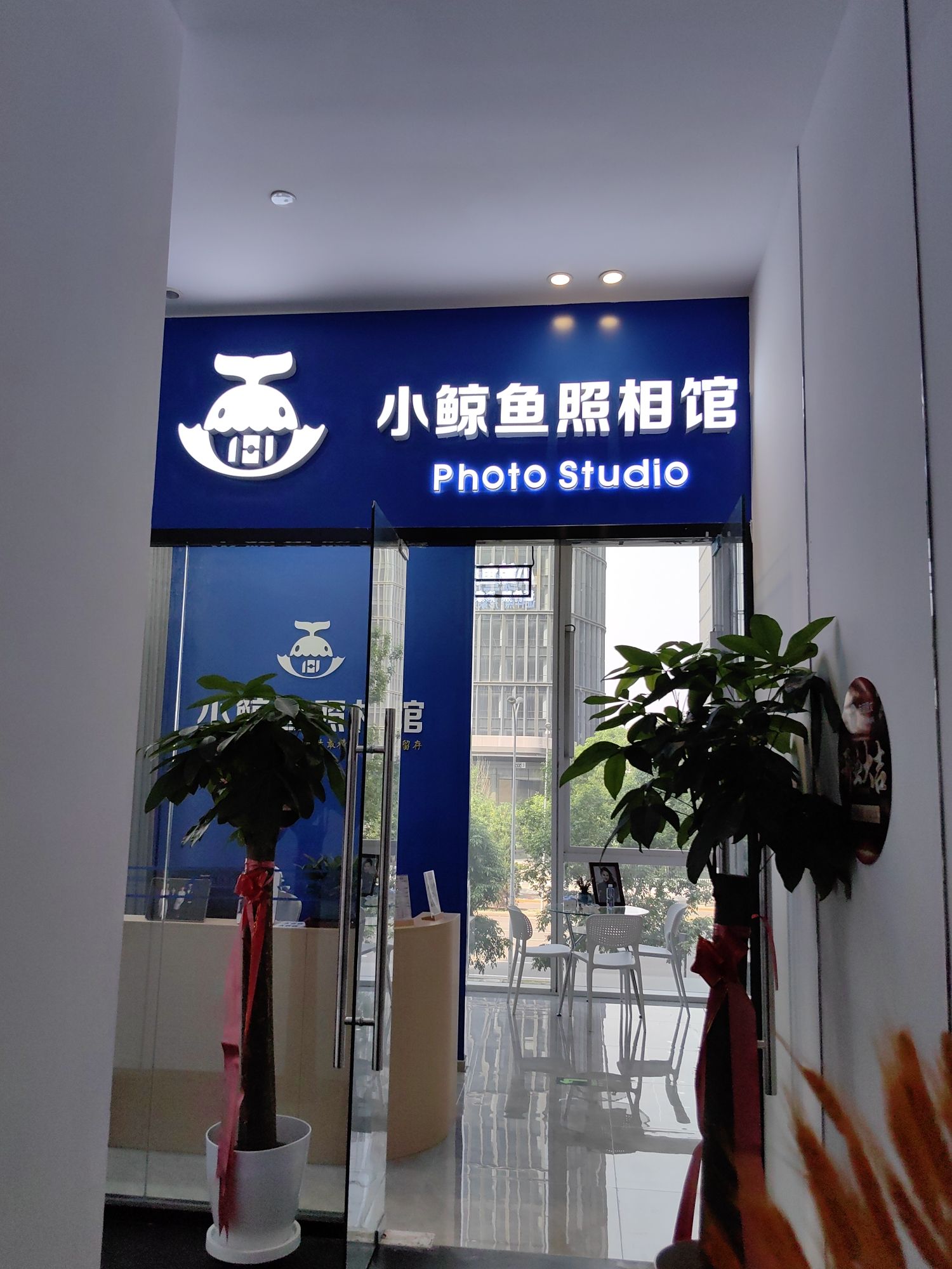 友谊图文广告小鲸鱼照相馆