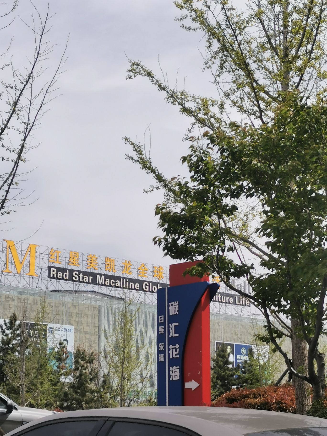 碳汇花海旅行图片 1