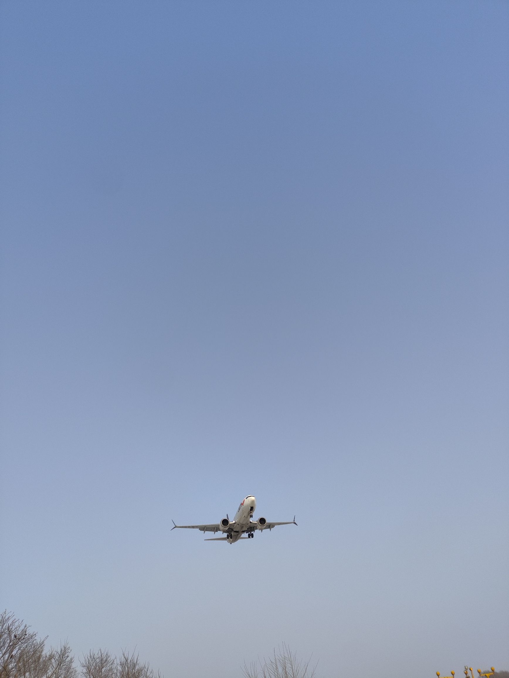 望鸢台旅行图片 3