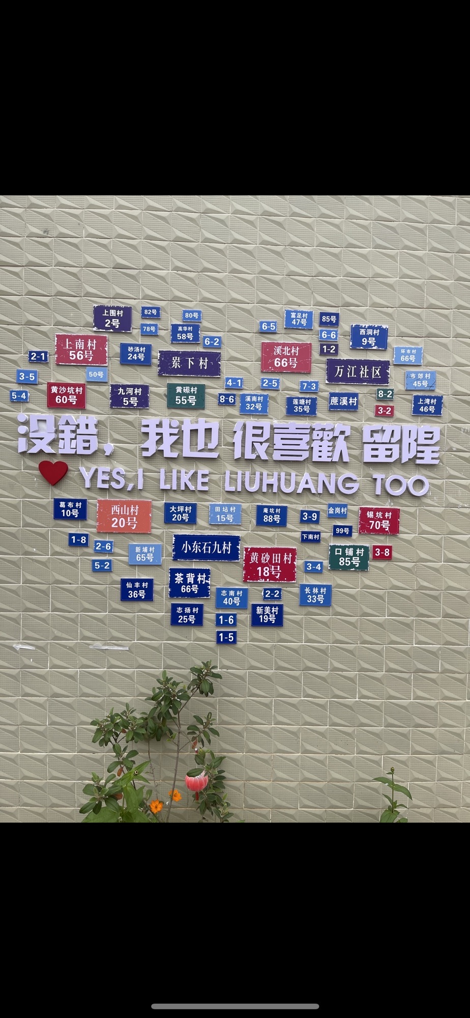 忘忧云顶旅行图片 2