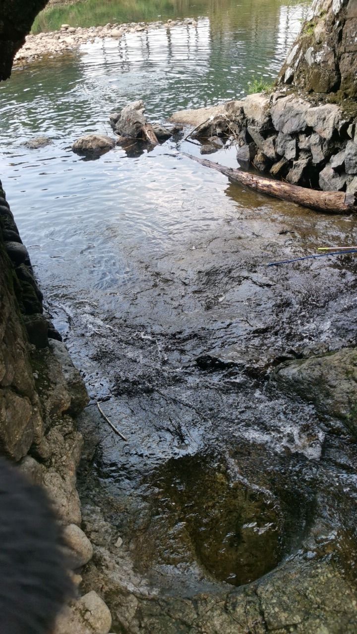 花厅瀑布旅行图片 2